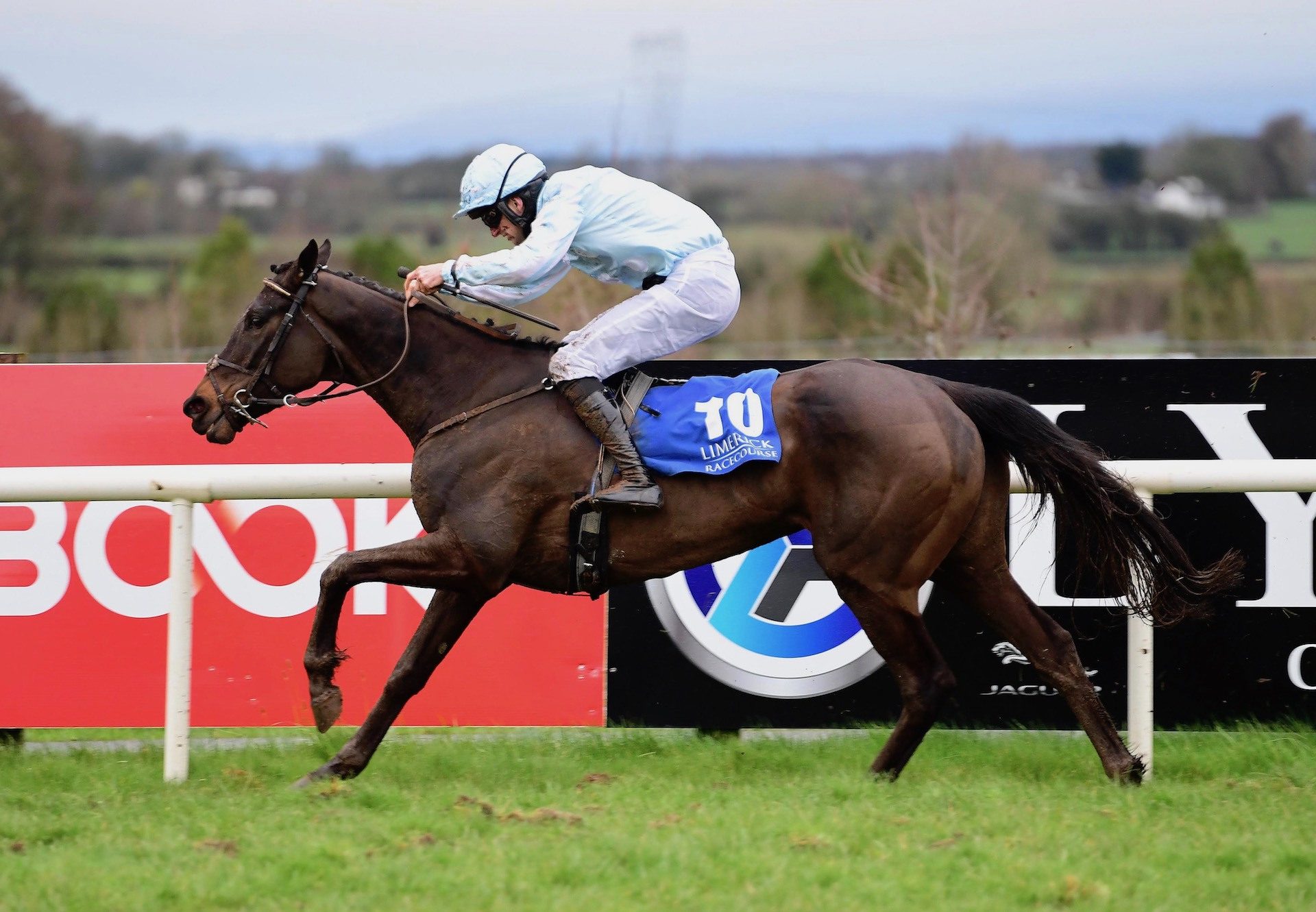 Belle Metal (Soldier Of Fortune) Wins The Listed Bumper At Limerick