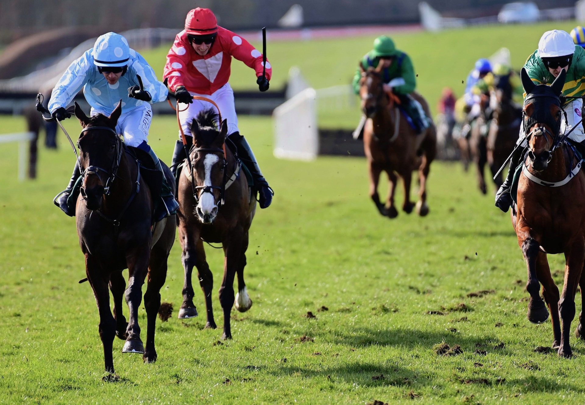 Belle Metal (Soldier Of Fortune) Wins The Mares Maiden Hurdle At Navan