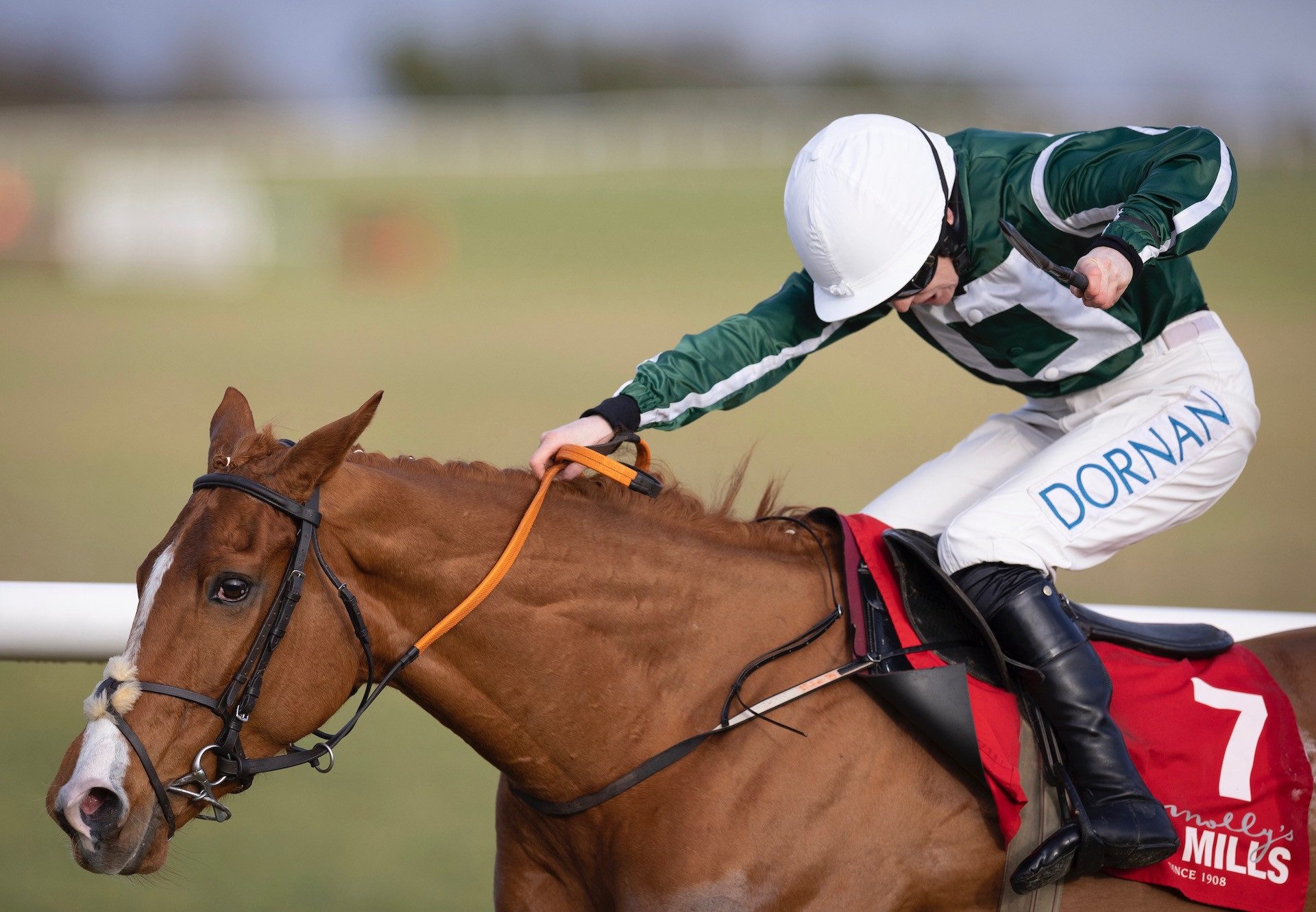 Belle The Lioness (Soldier Of Fortune) Wins Her Maiden Hurdle At Thurles