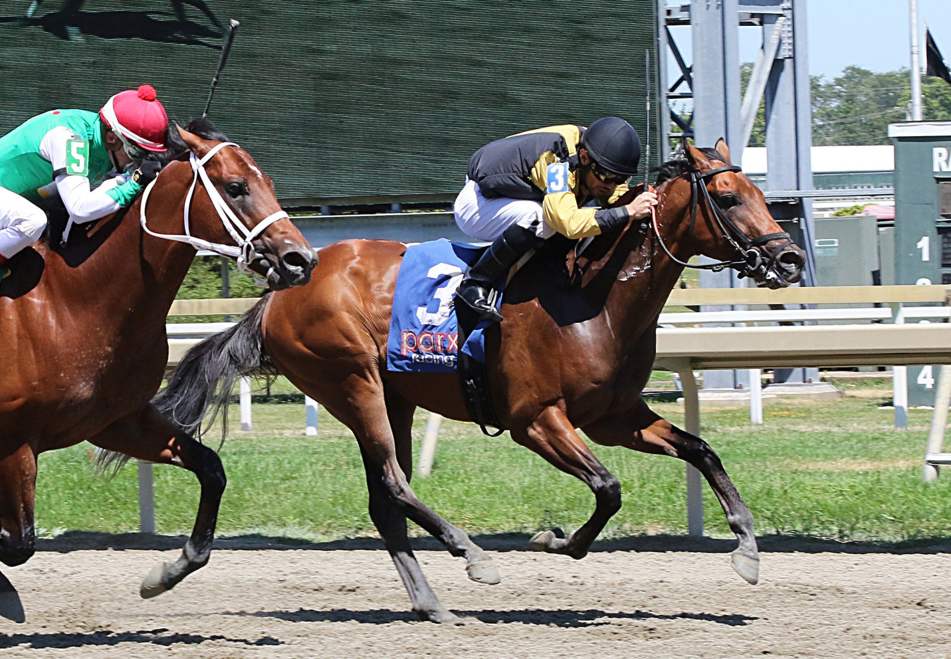 Belt Parkway (Mendelssohn) Wins Parx MSW