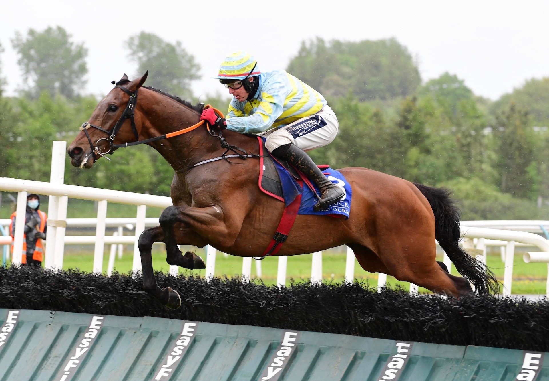 Benbulben Boy (Yeats) Wins The Maiden Hurdle At Limerick