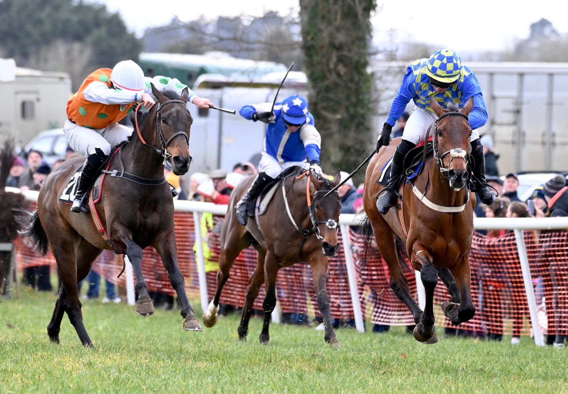 Bill Joyce (Mahler) Wins 4YO Maiden P2P at Lisronagh