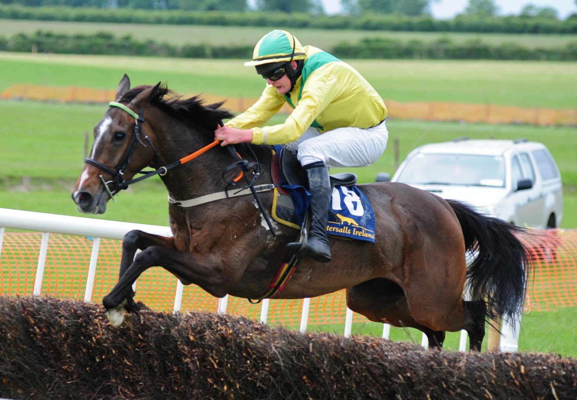 Bintheredonethat (Yeats) Wins At Ballingarry