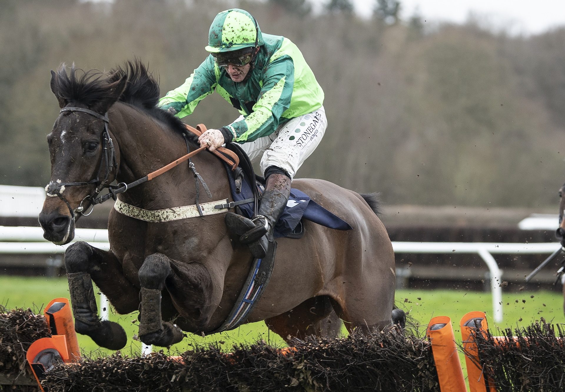 Black Gerry (Westerner) Wins The Novices Hurdle At Lingfield