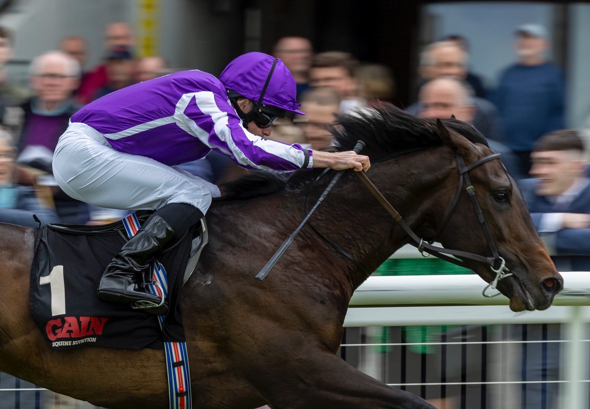 Blackbeard (No Nay Never) Wins The Group 3 Marble Hill Stakes at the Curragh