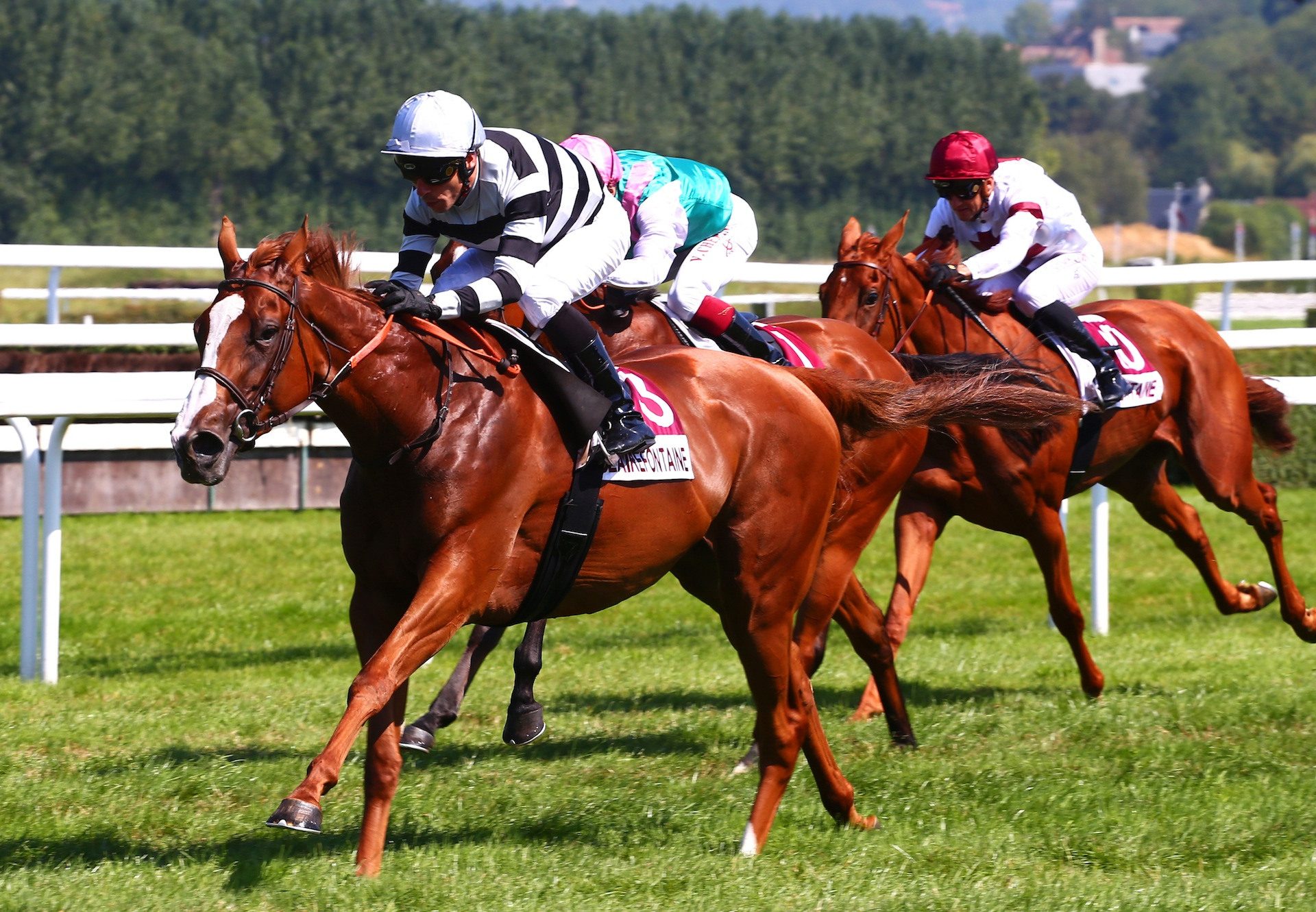 Blame The Ruler (Ruler Of The World) winning at Clairefontaine
