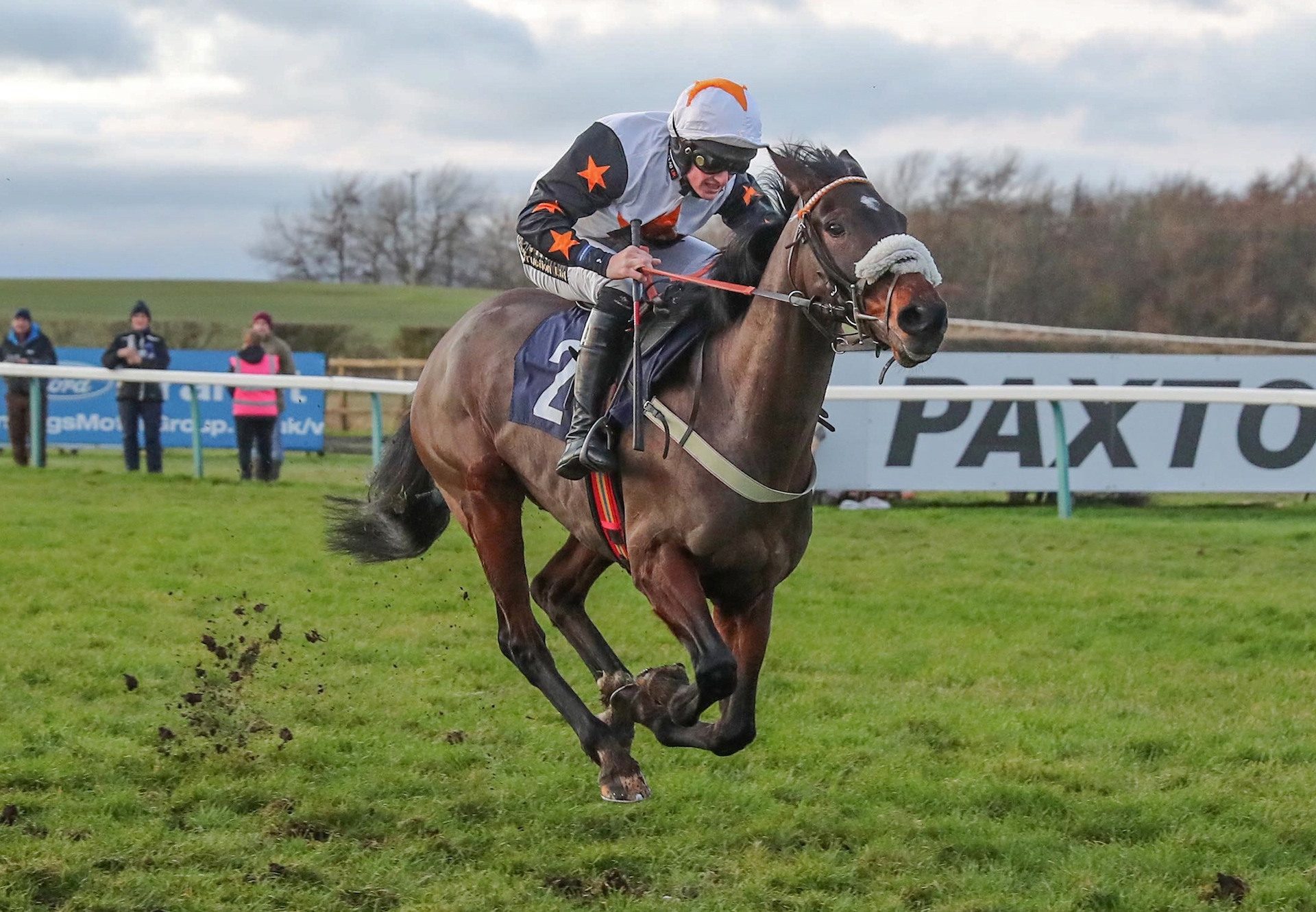 Blazing Port (Yeats) Wins On Debut at Sedgefield