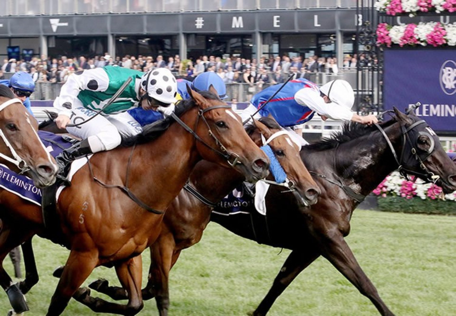 Bleu Roche (Fastnet Rock) winning the G3  VRC Red Roses Stakes at Flemington