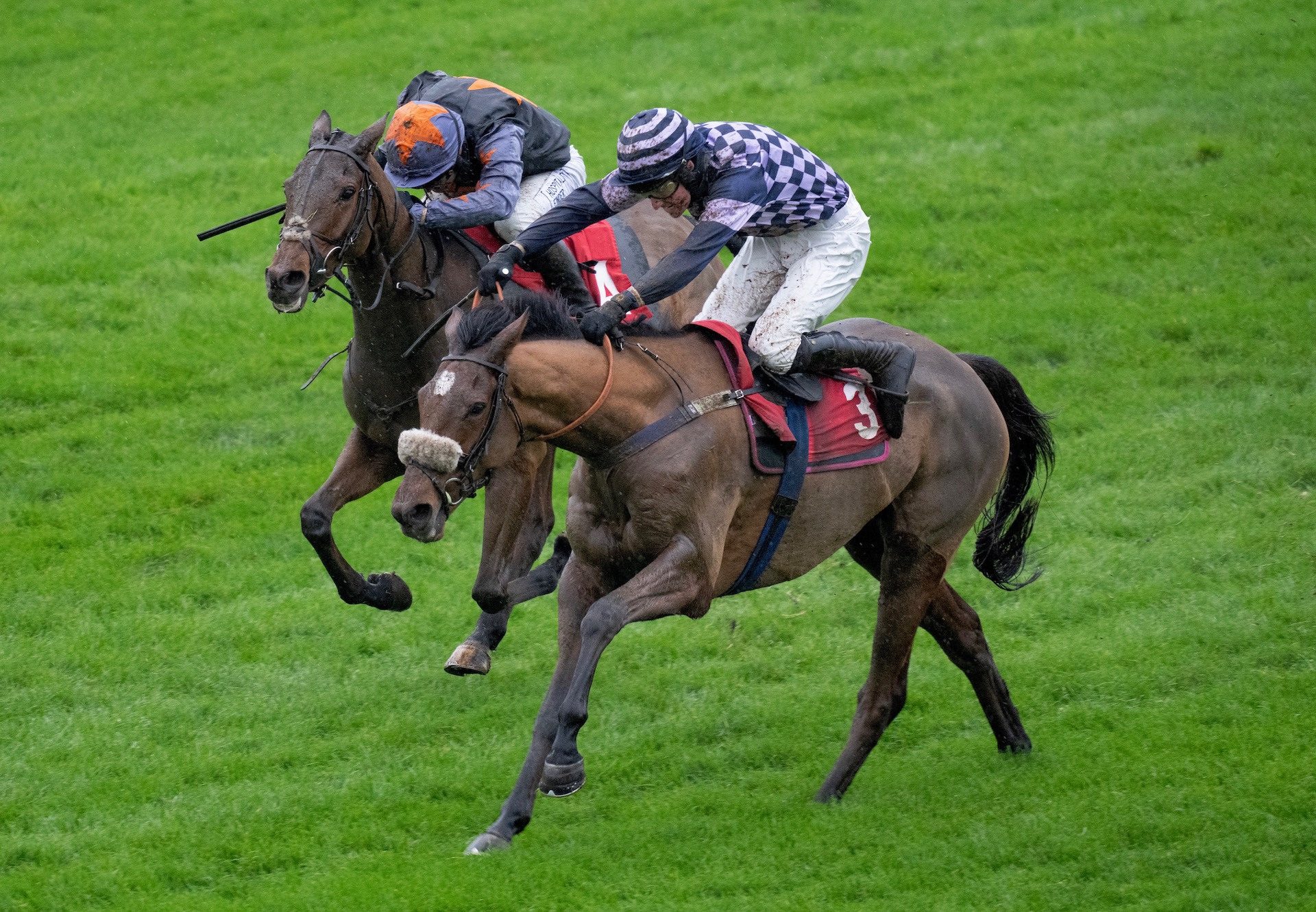 Blow Your Wad (Walk In The Park) Wins The Novices Hurdle At Kempton