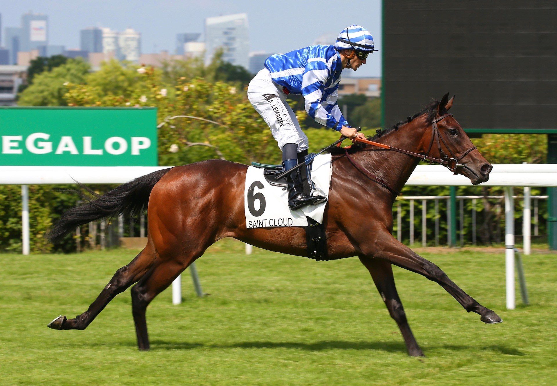 Blue Rose Cen (Churchill) Wins Her Maiden At Saint Cloud