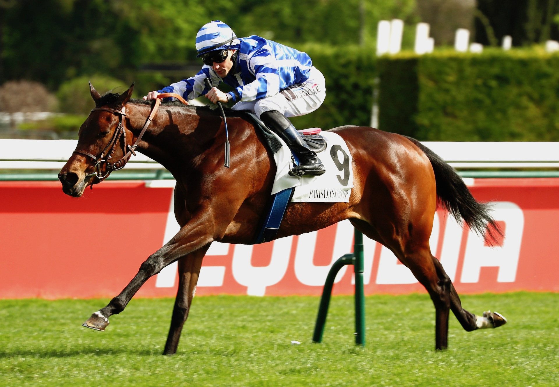 Blue Rose Cen (Churchill) Wins The Group 3 Prix De La Grotte at Longchamp