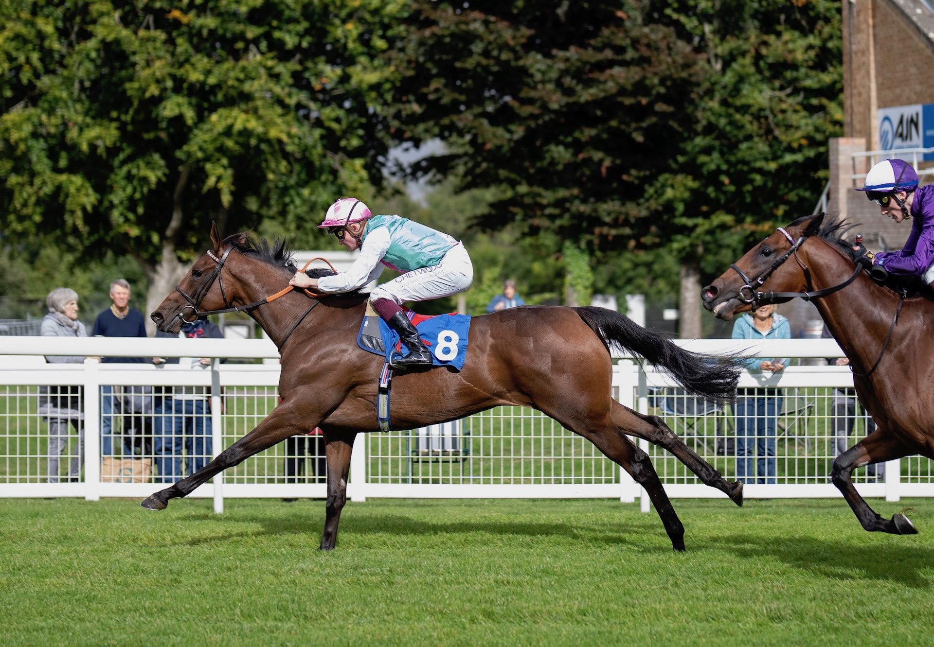 Bluestocking (Camelot) Makes An Impressive Debut At Salisbury