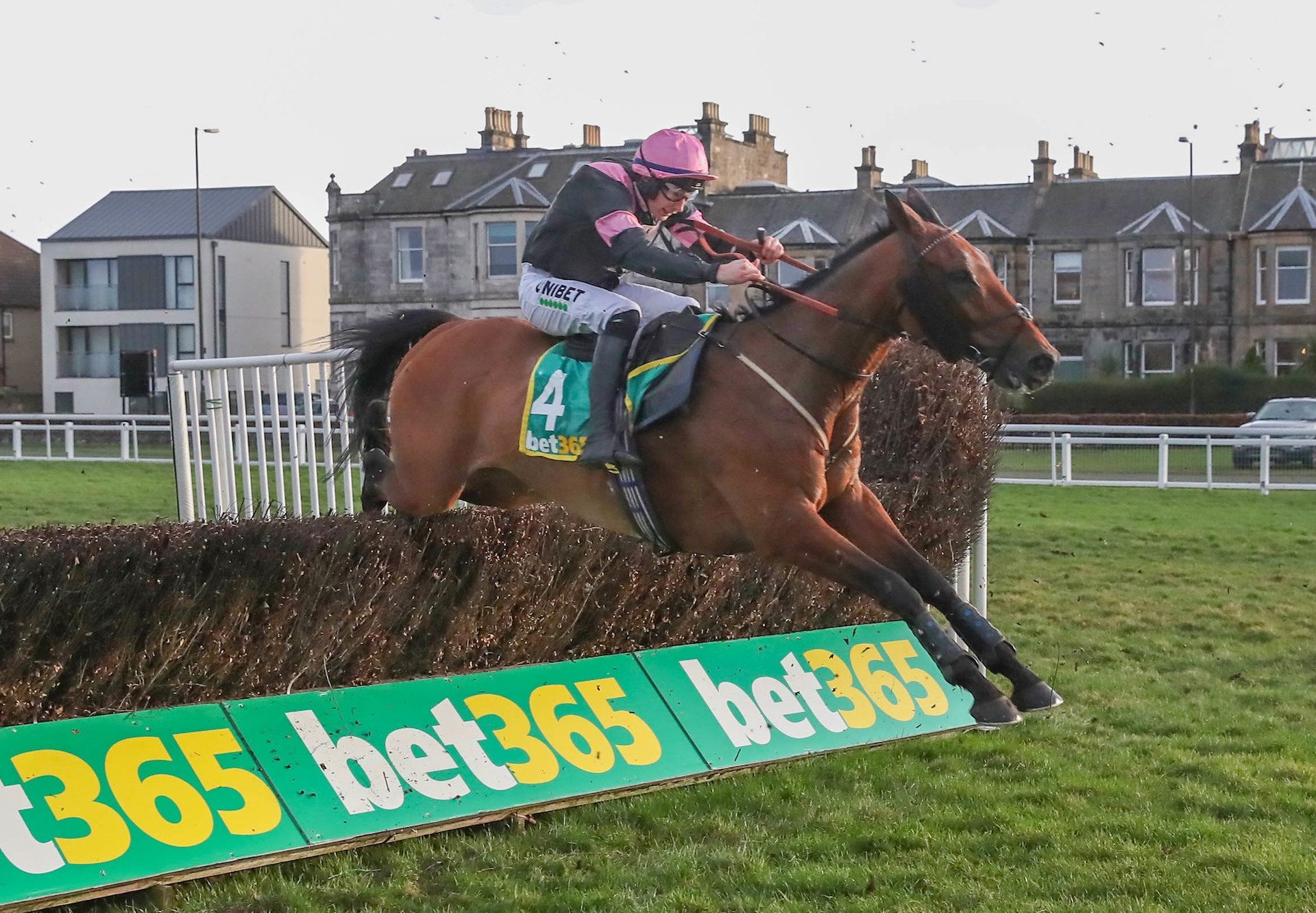 Bob Mahler (Mahler) Wins The Edinburgh National Handicap Chase at Musselburgh