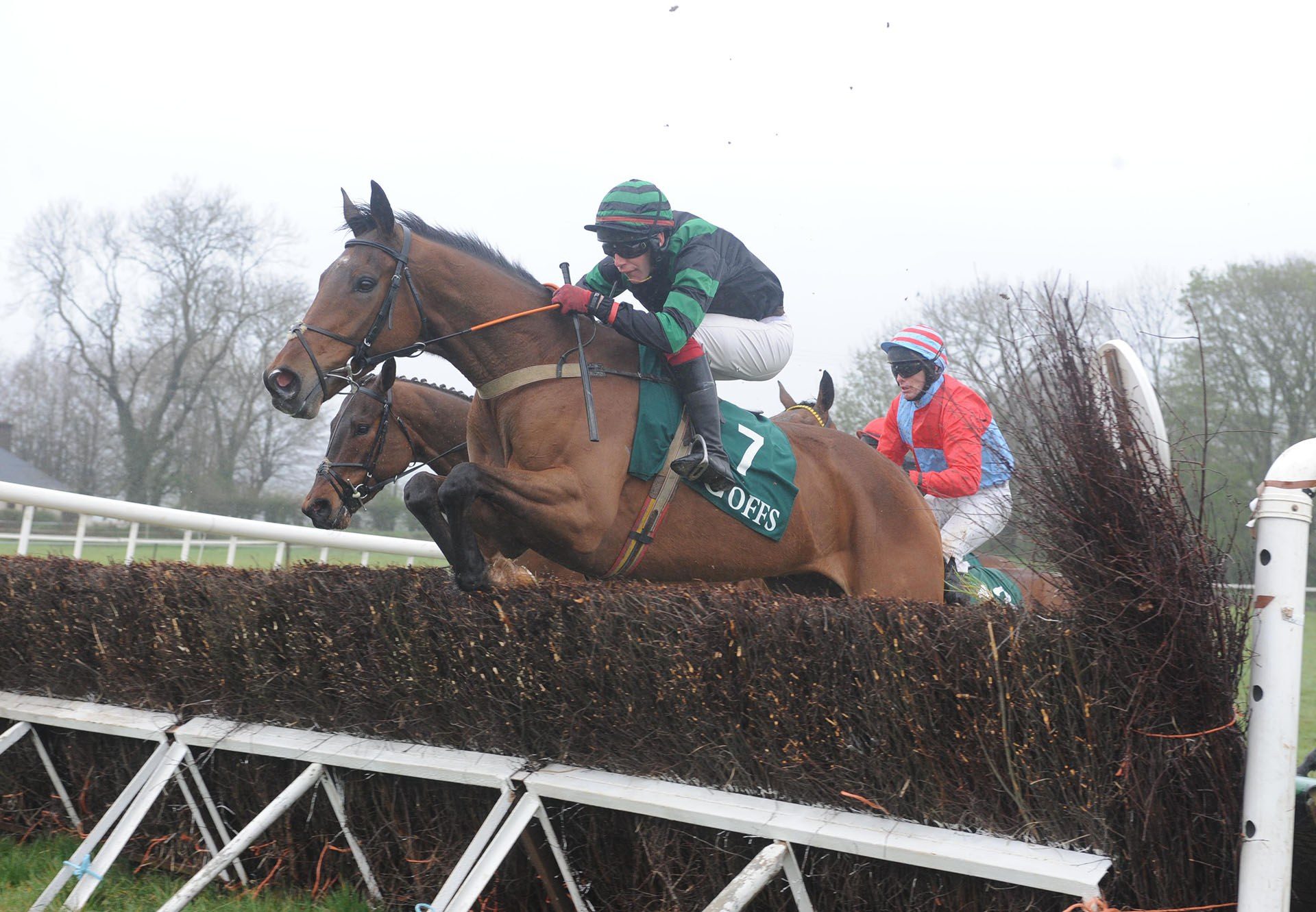 Bobhopeornohope (Westerner) winning at Dromahane