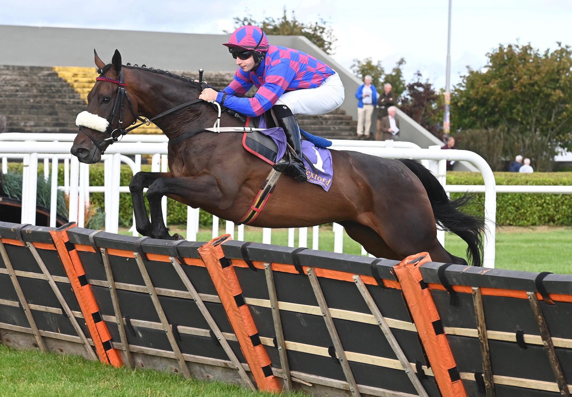 Boher Road (Vadamos) Wins The Maiden Hurdle At Wexford