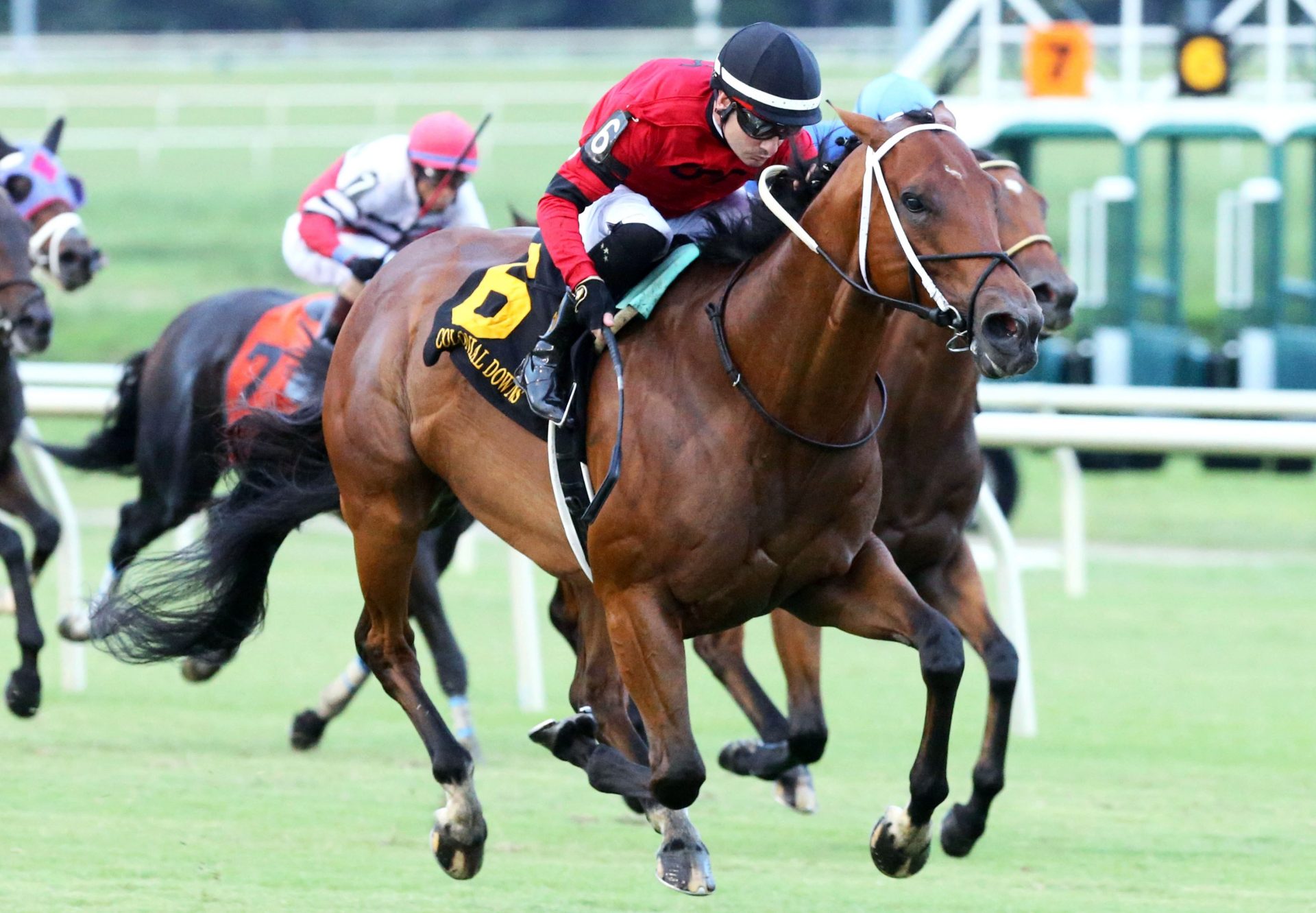 Boldor (Munnings) Wins The 2021 Punch Line Stakes at Colonial Downs