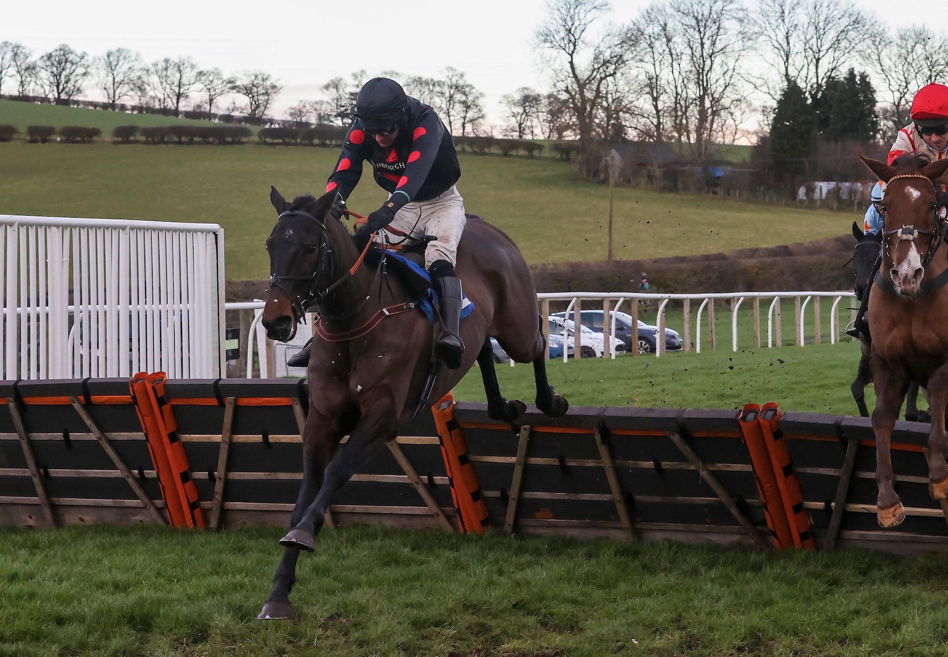 Bollingerandkrug (Getaway) Wins The Novice Hurdle At Kelso