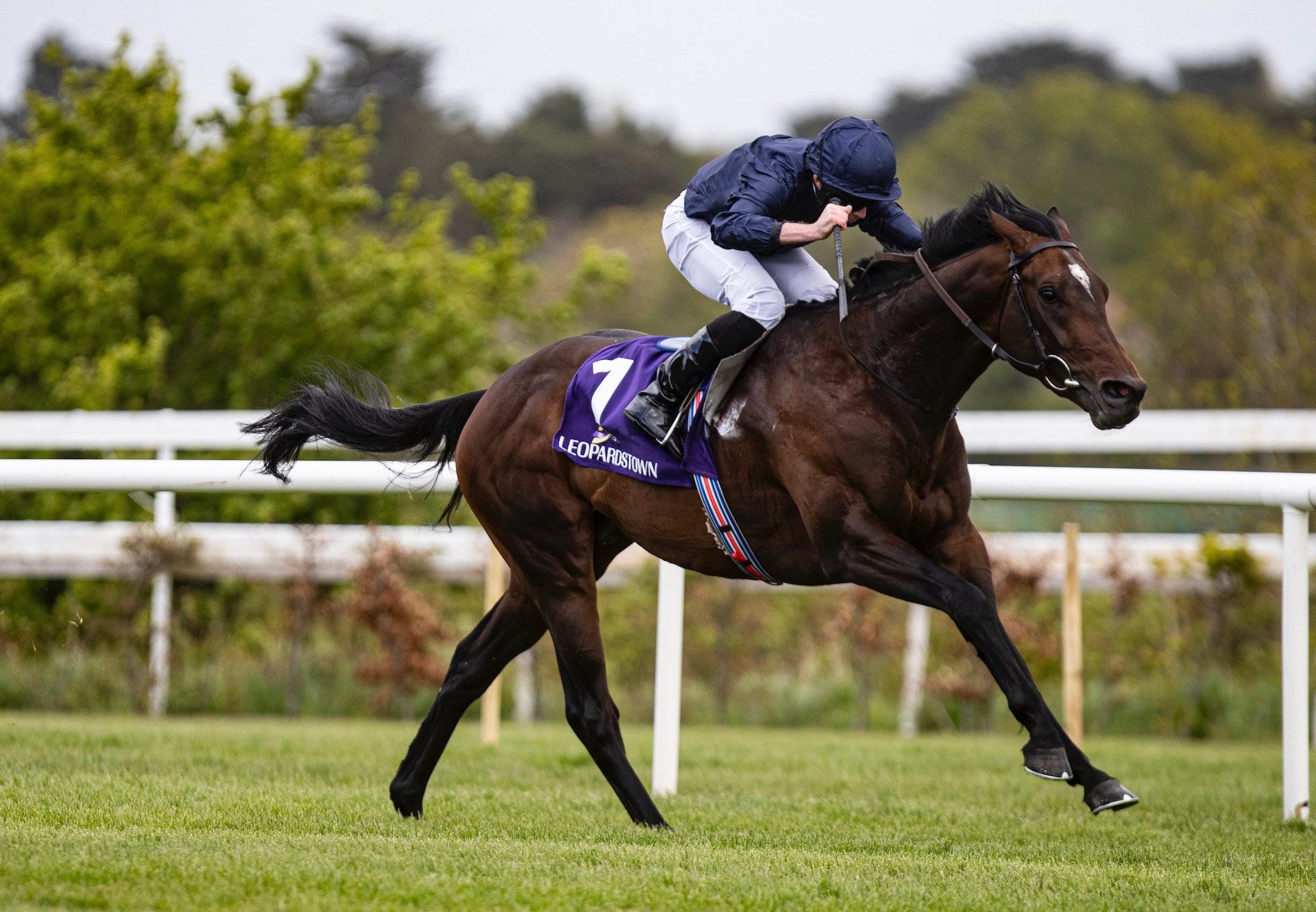 Bolshoi Ballet (Galileo) Storms Clear In The Group 3 Derby Trial At Leopardstown