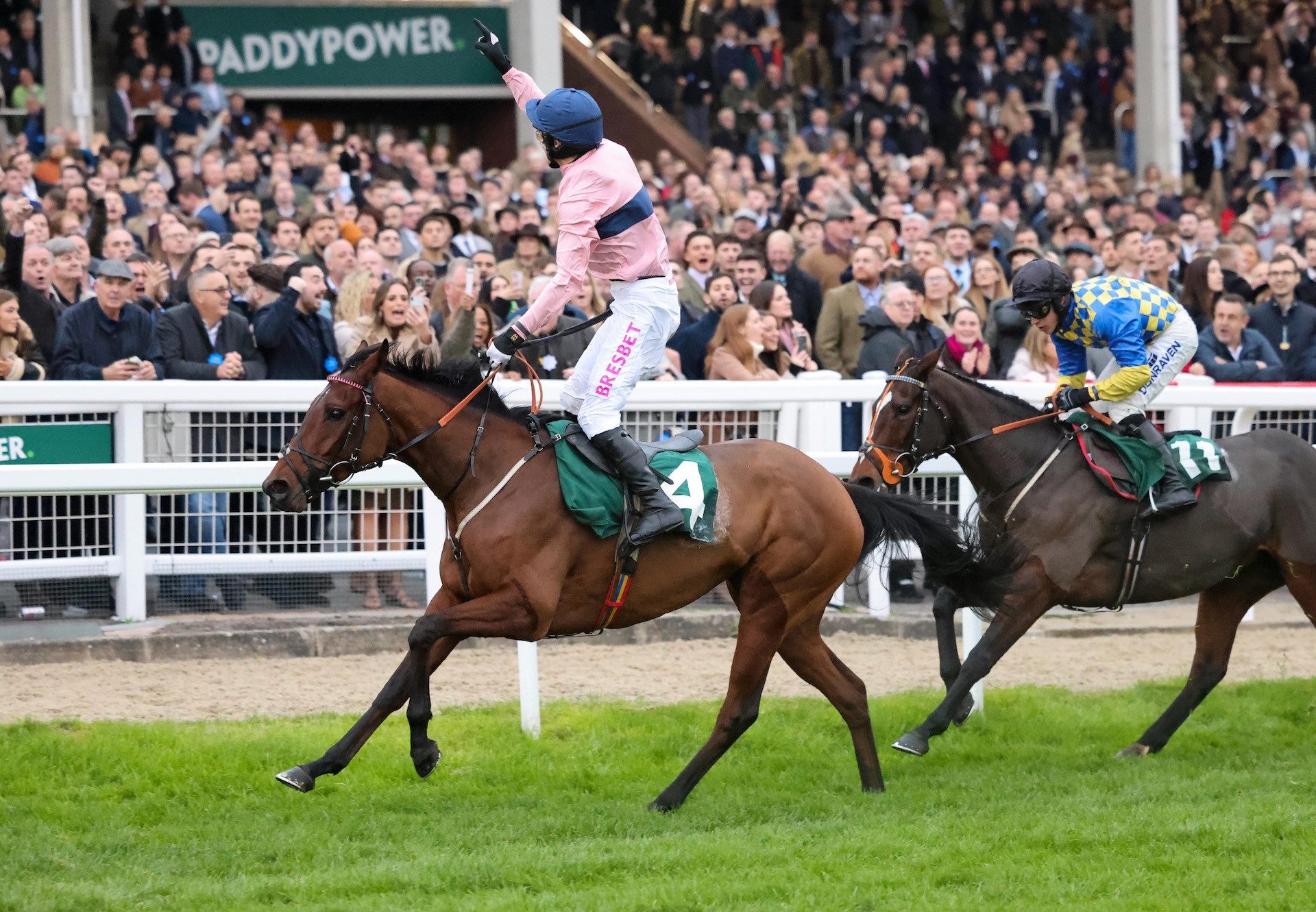 Bonttay (Westerner) Wins The Listed Mares Bumper At Cheltenham