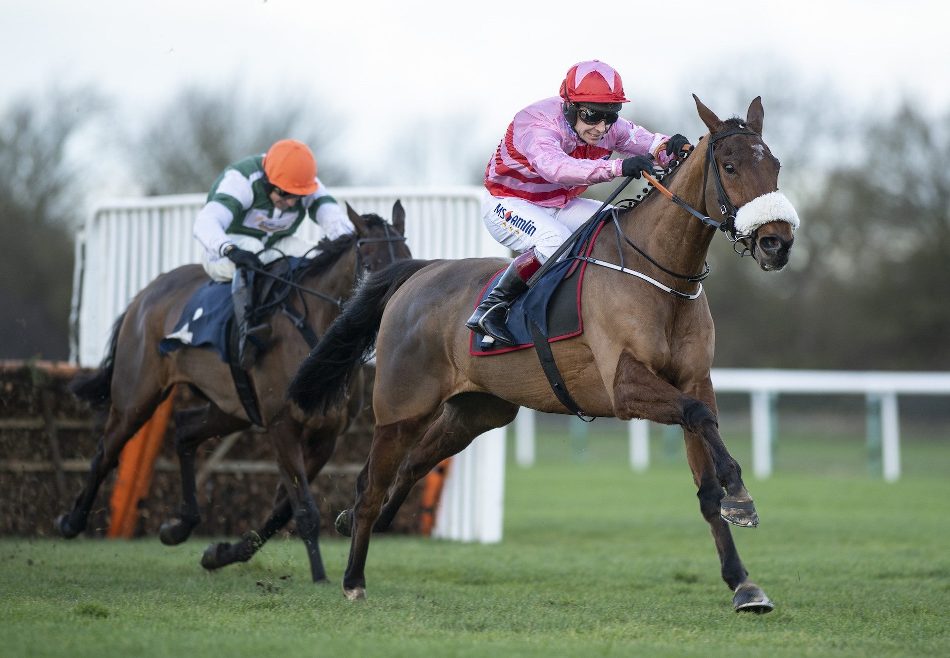 Brewin Upastorm (Milan) Impresses On His Hurdle Debut At Huntingdon