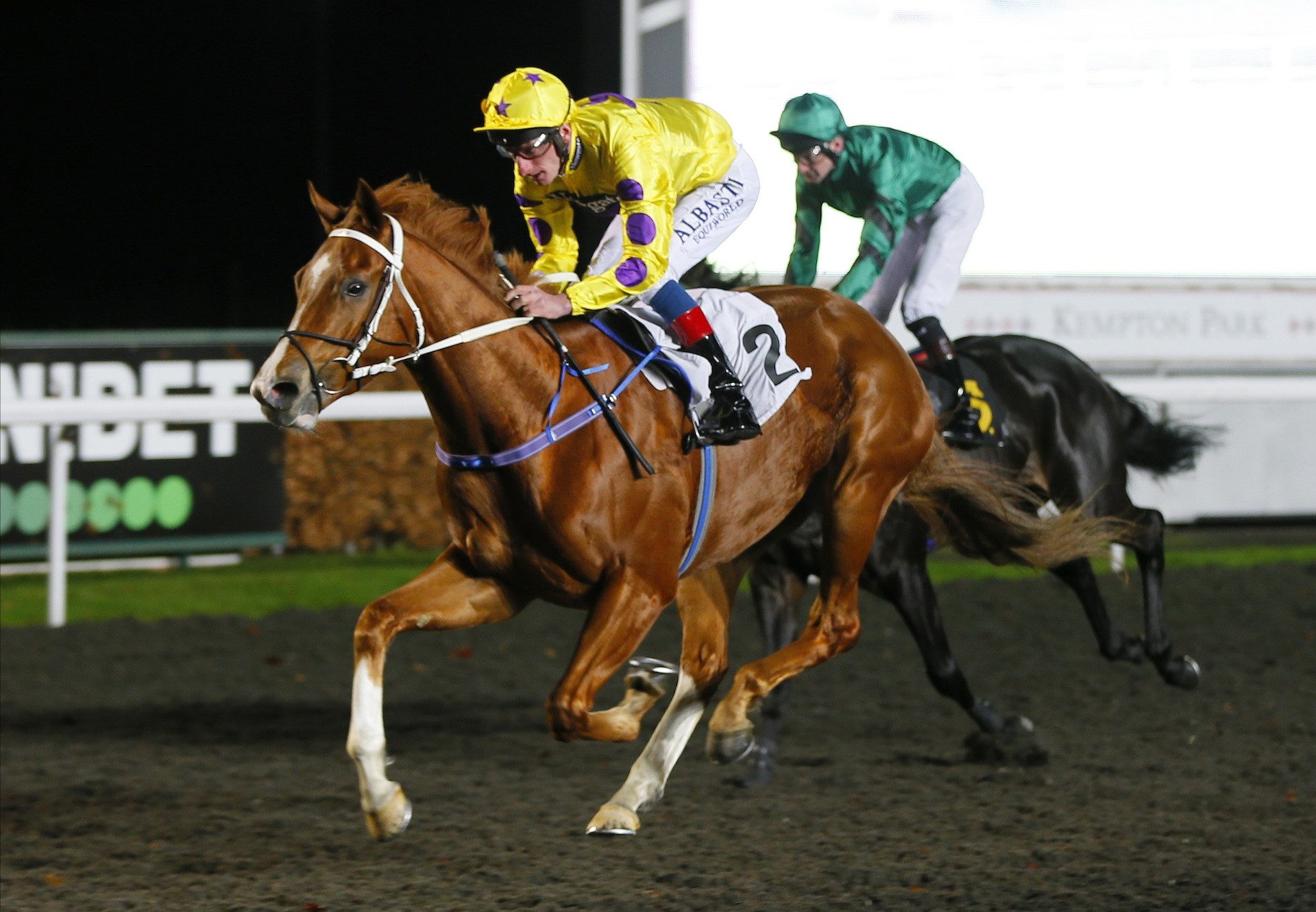 Bridgewater Bay (Footstepsinthesand) Wins At Kempton