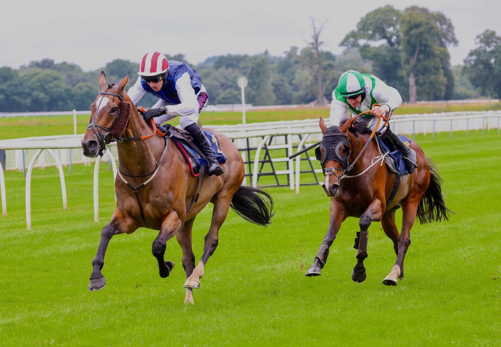 Brief Ambition (Yeats) Wins The Novices Hurdle At Perth