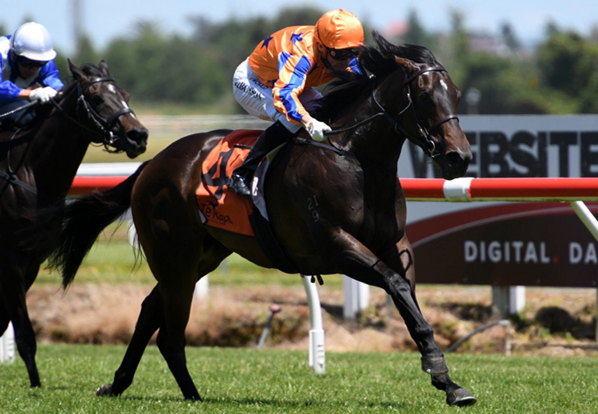 Bright Blue Sky (Fastnet Rock) winning the Listed Fasttrack Insurance 2YO Stakes at Te Rapa