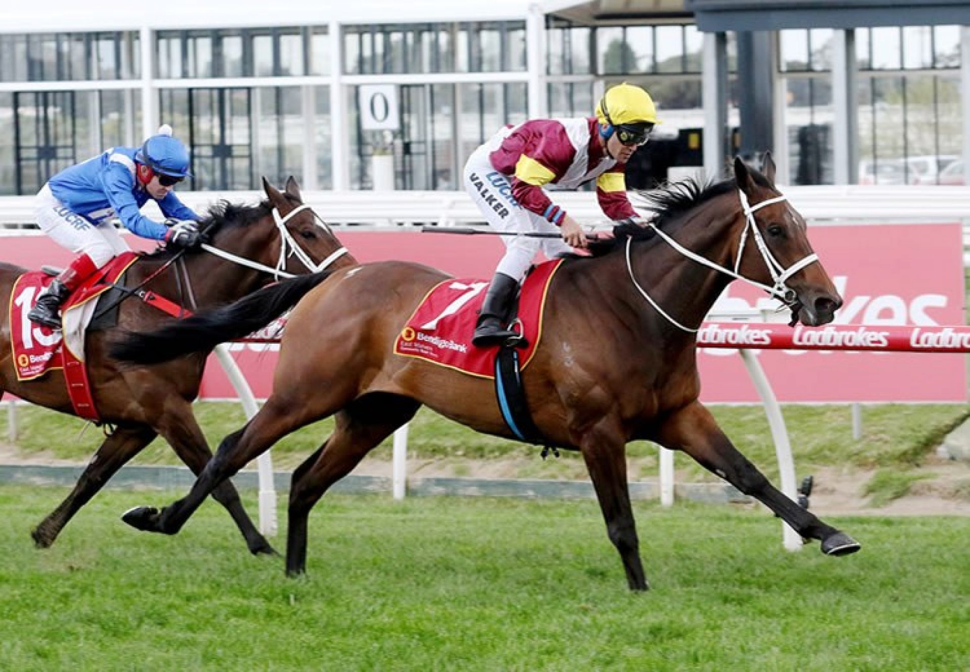 Brimham Rocks (Fastnet Rock) winning the Gr.3 Foundation Cup at Caulfield