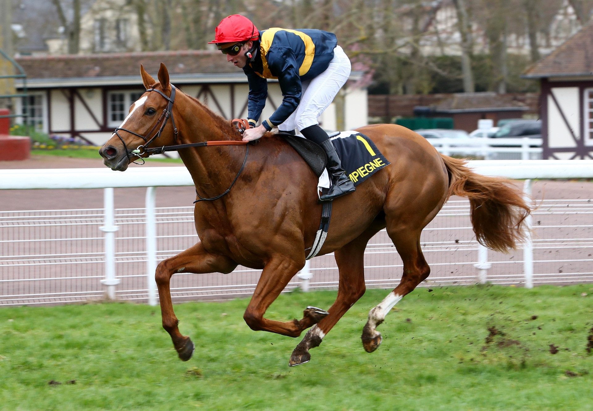 Bring On The Night (Gleneagles) winning at Compiegne