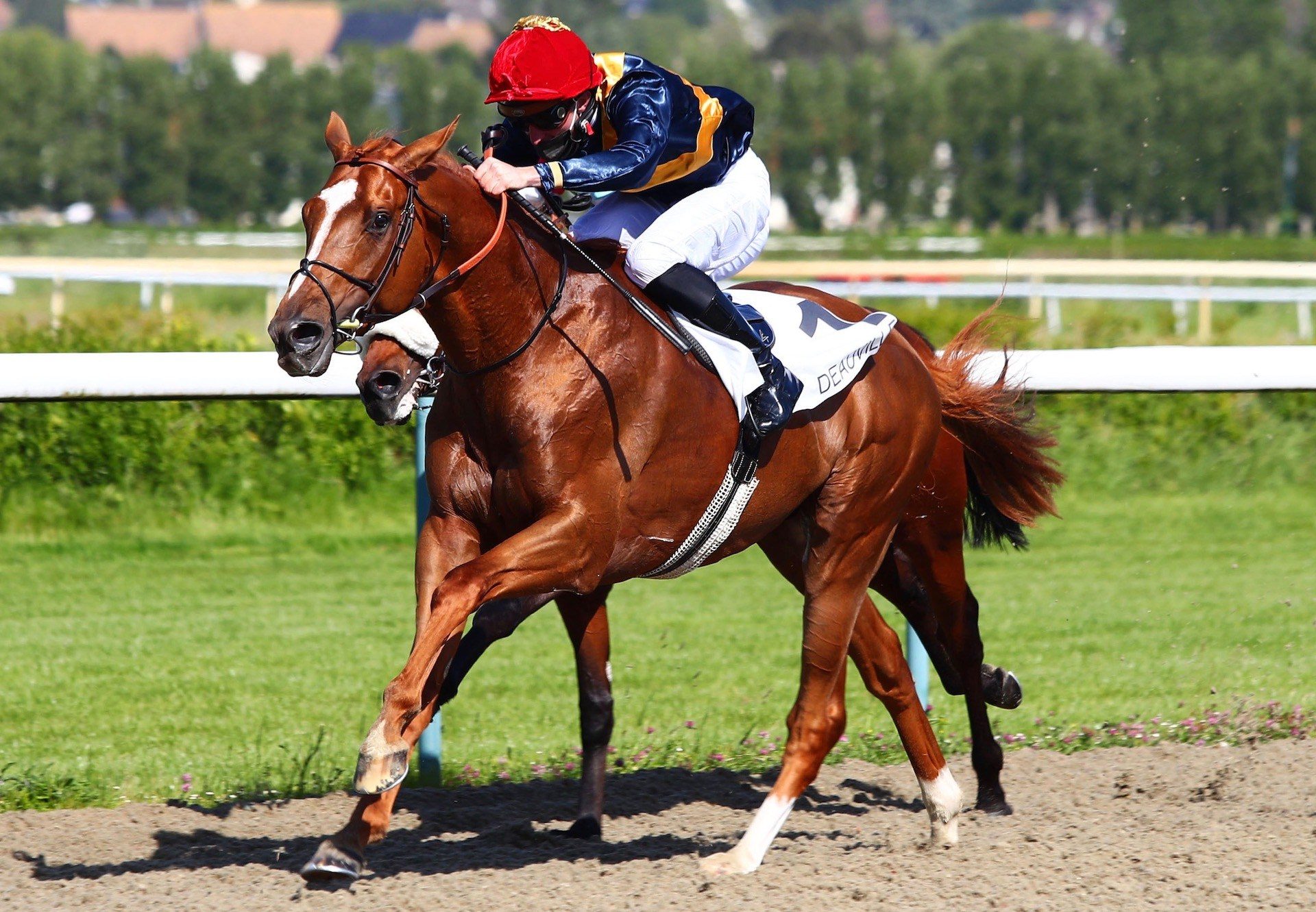 Bring On The Night (Gleneagles) winning at Deauville