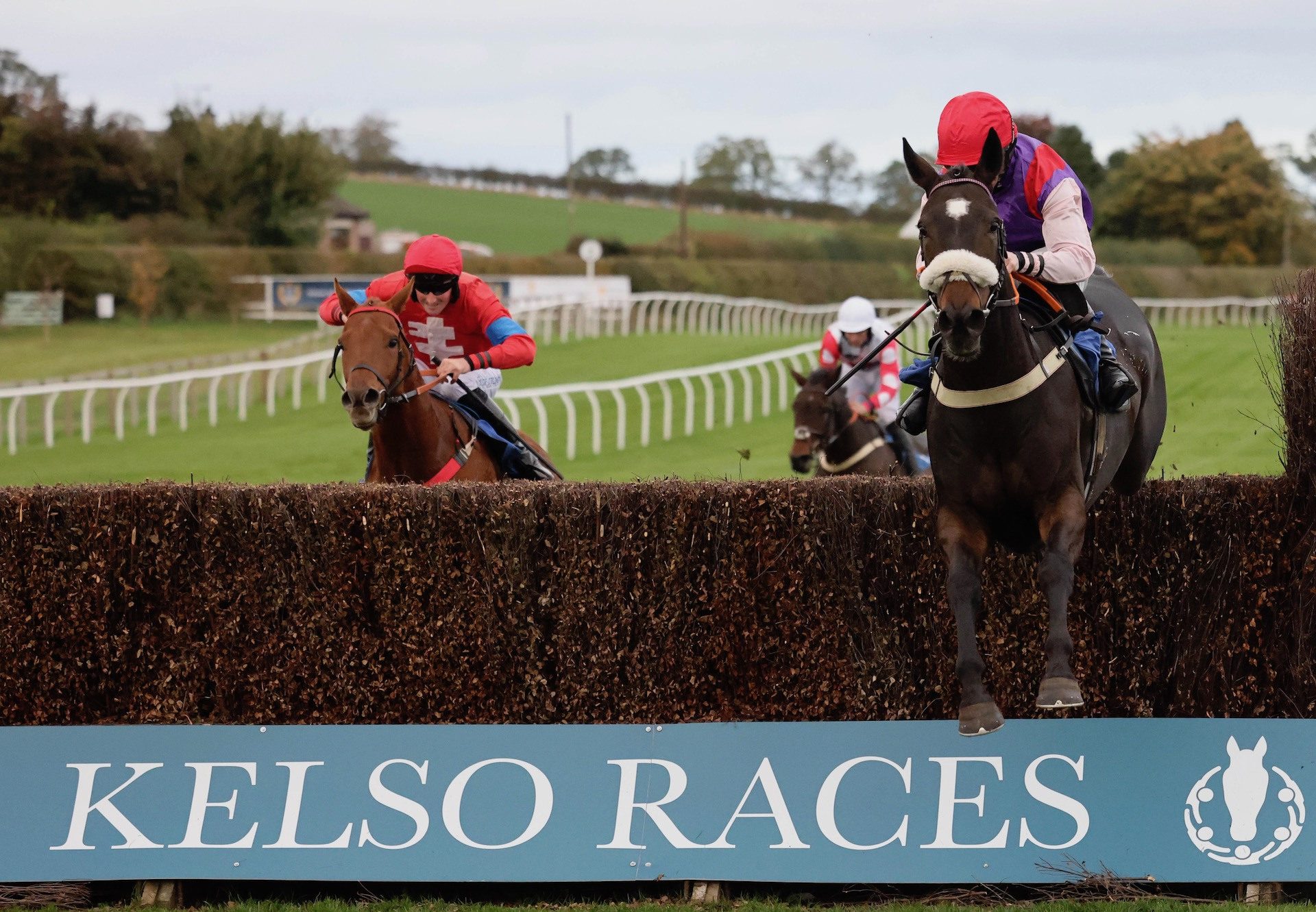 Broadway Joe (Milan) Makes A Winning Chase Debut At Kelso