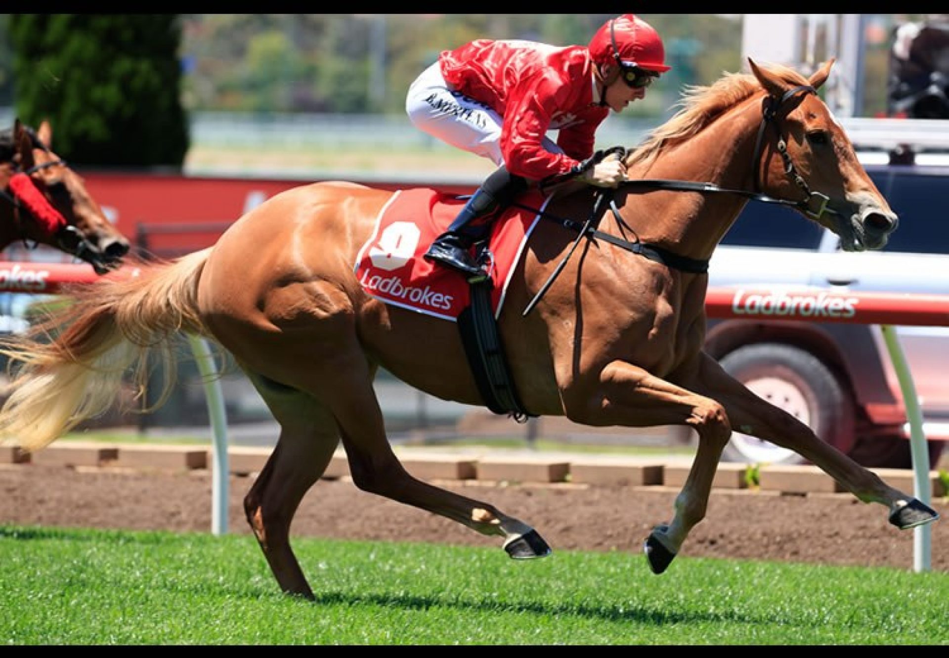 Brooklyn Hustle (Starspangledbanner) winning at Moonee Valley