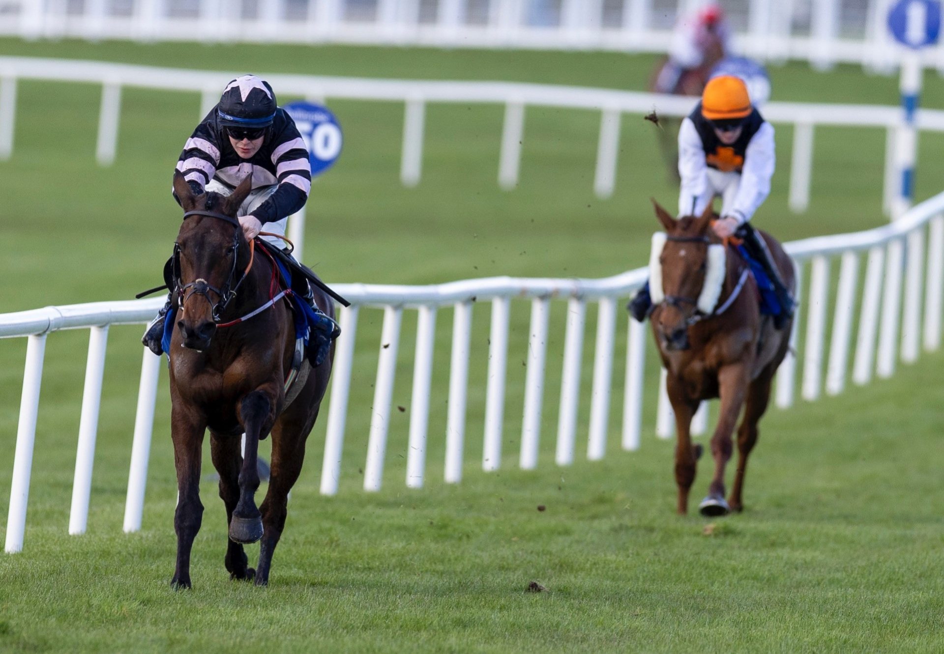 Broomfield Bijou (Walk In The Park) Wins The Mares Maiden Hurdle At Ballinrobe