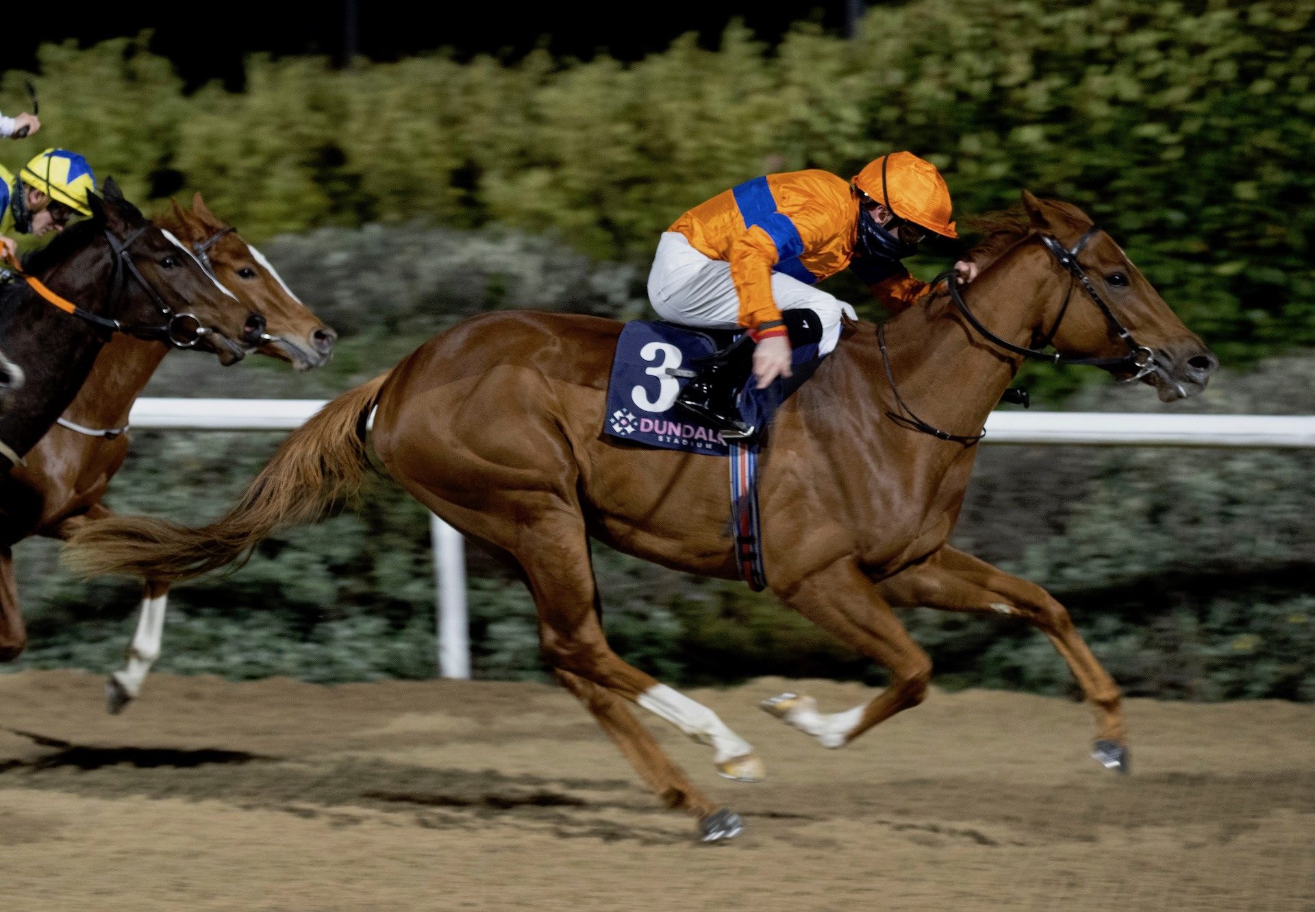 Brostaigh (Footstepsinthesand) Wins Her Maiden At Dundalk 1