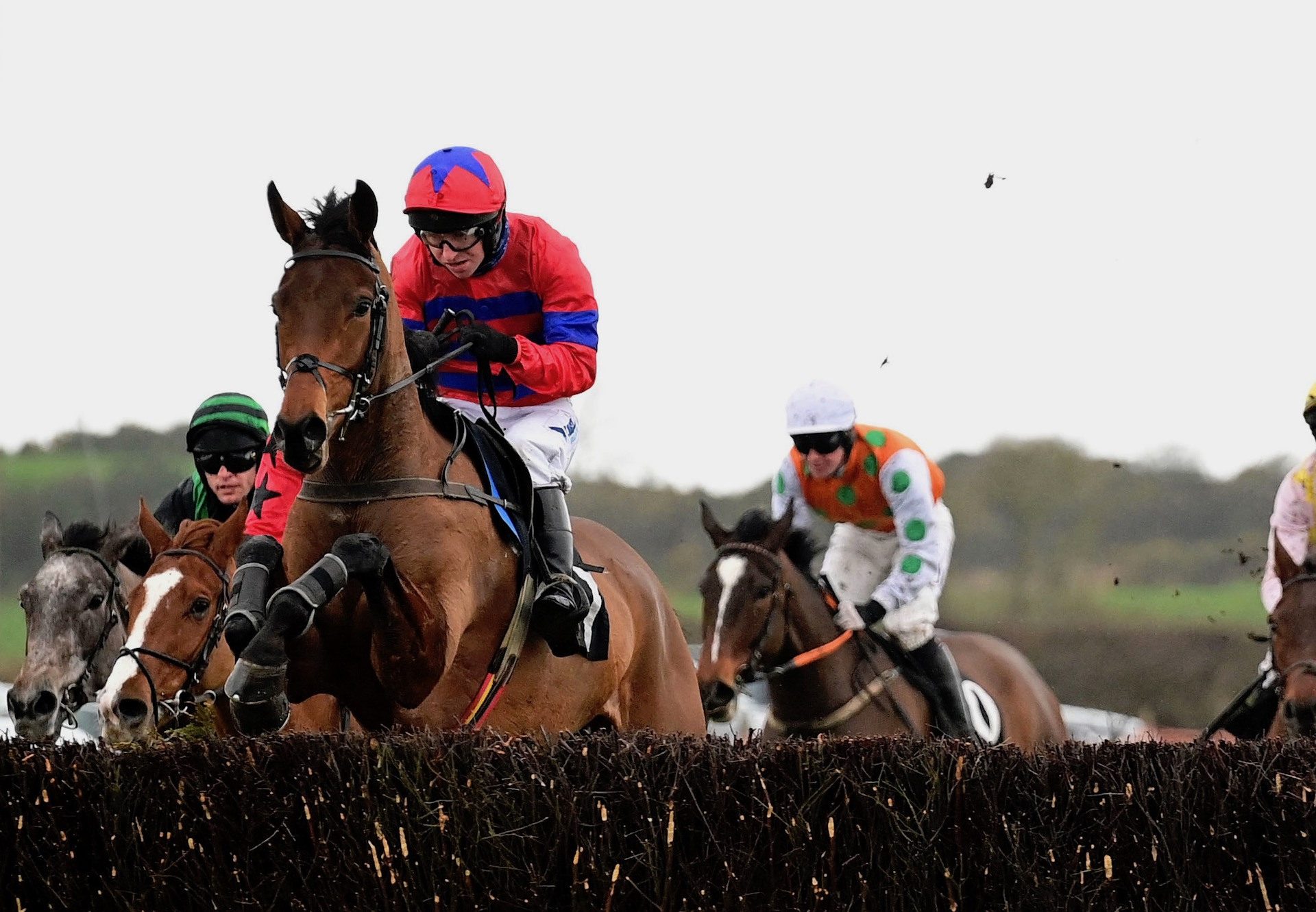 Broughshane (Mahler) Makes A Winning Debut At Kirkistown