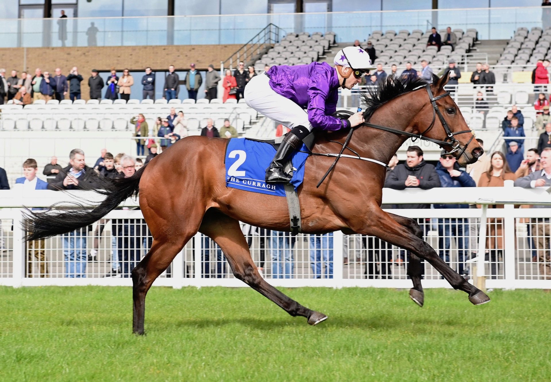 Bucanero Fuerte (Wootton Bassett) Wins On Debut At The Curragh