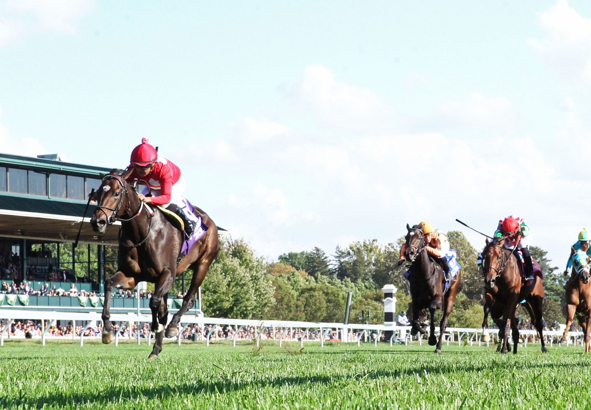 Buchu (Justify) Wins the Gr.2 Jessamine Stakes at Keeneland