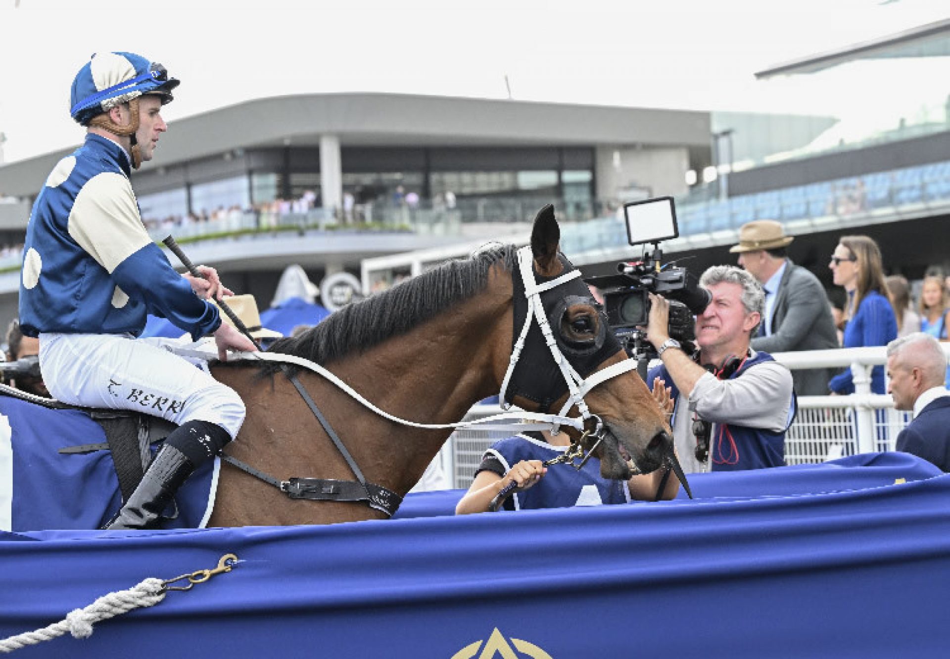 Buckaroo (Fastnet Rock) Chelmsford 750