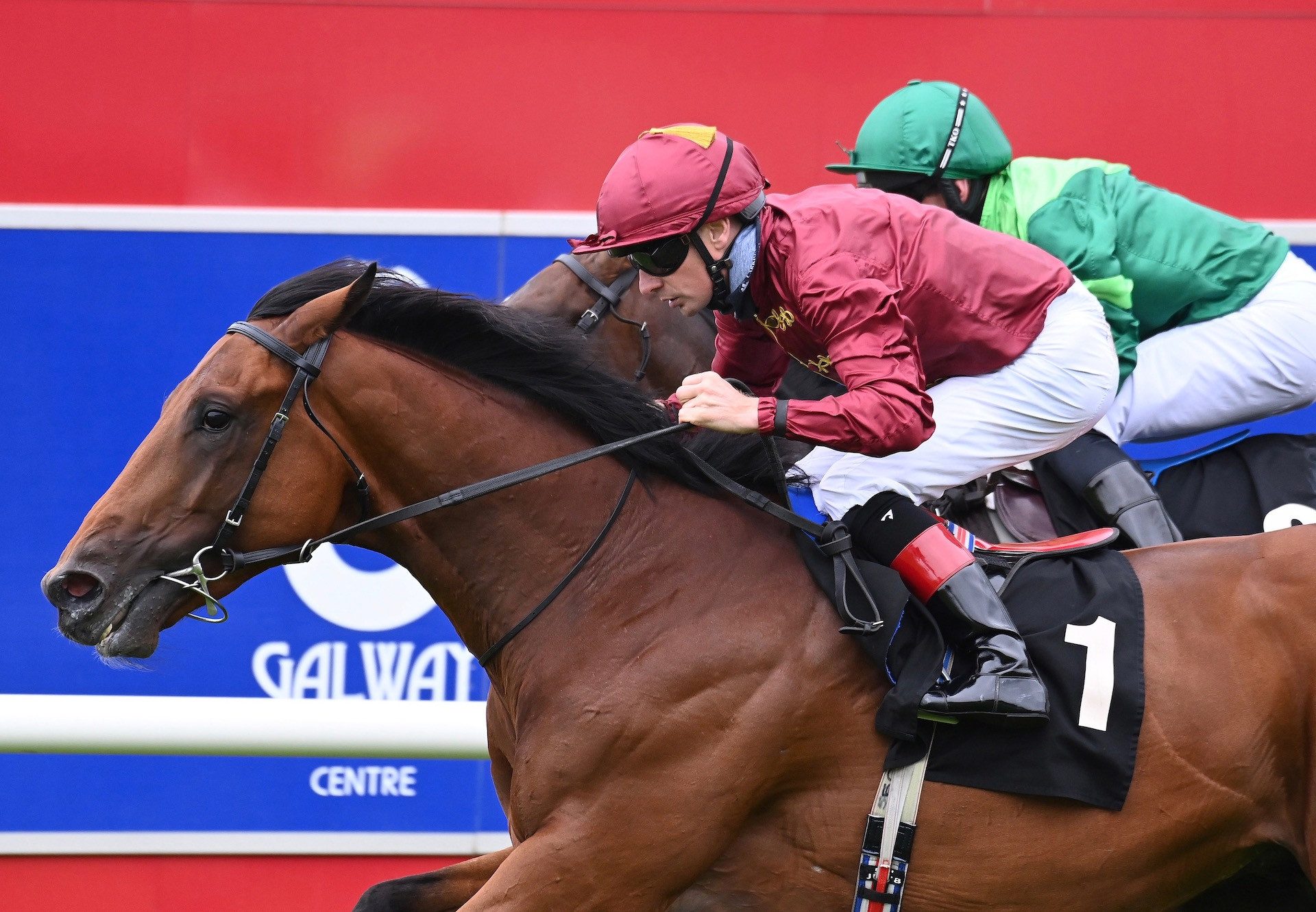 Buckaroo (Fastnet Rock) Wins His Maiden At Galway