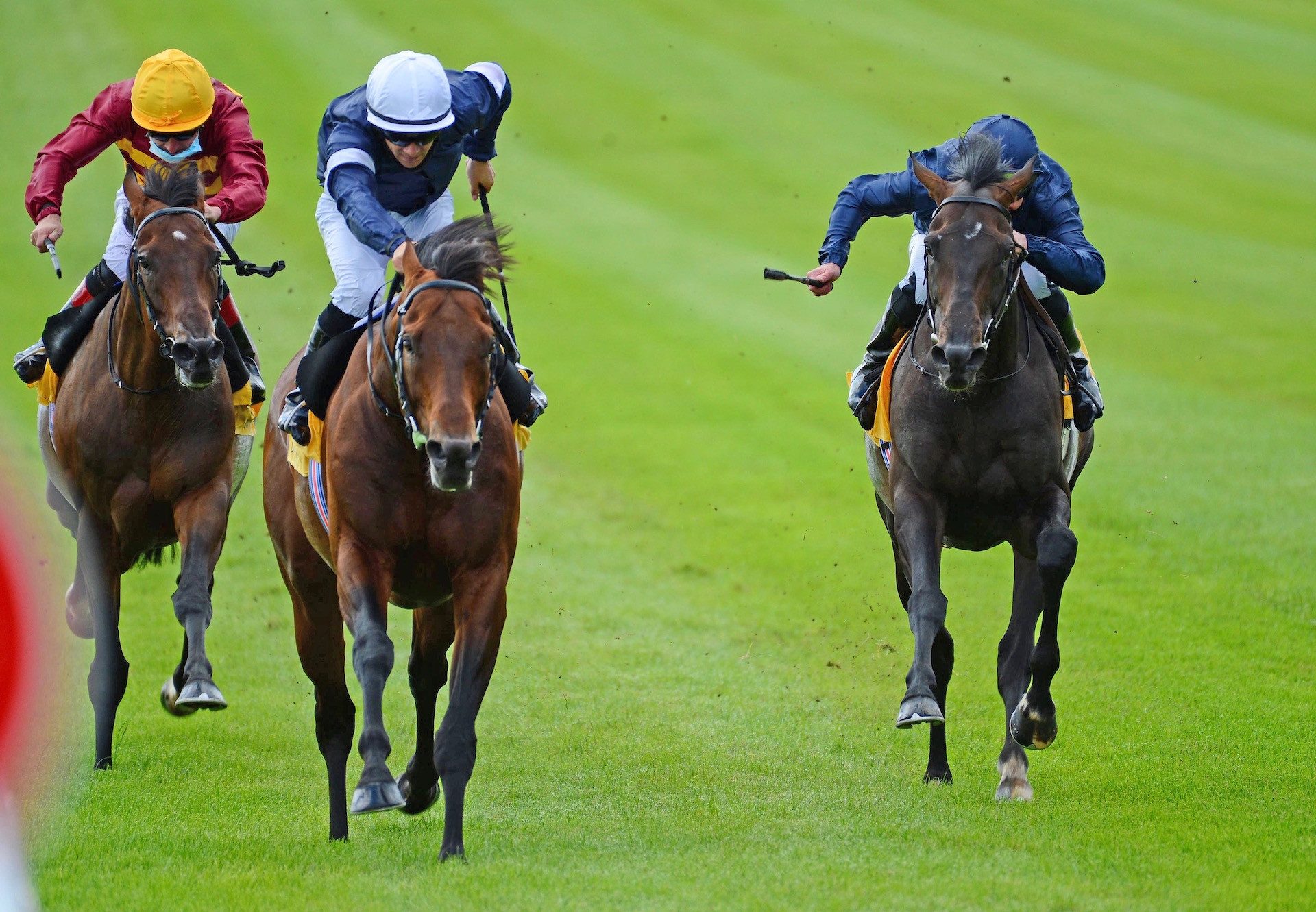 Buckhurst (Australia) Wins The Gr.3 Alleged Stakes at the Curragh