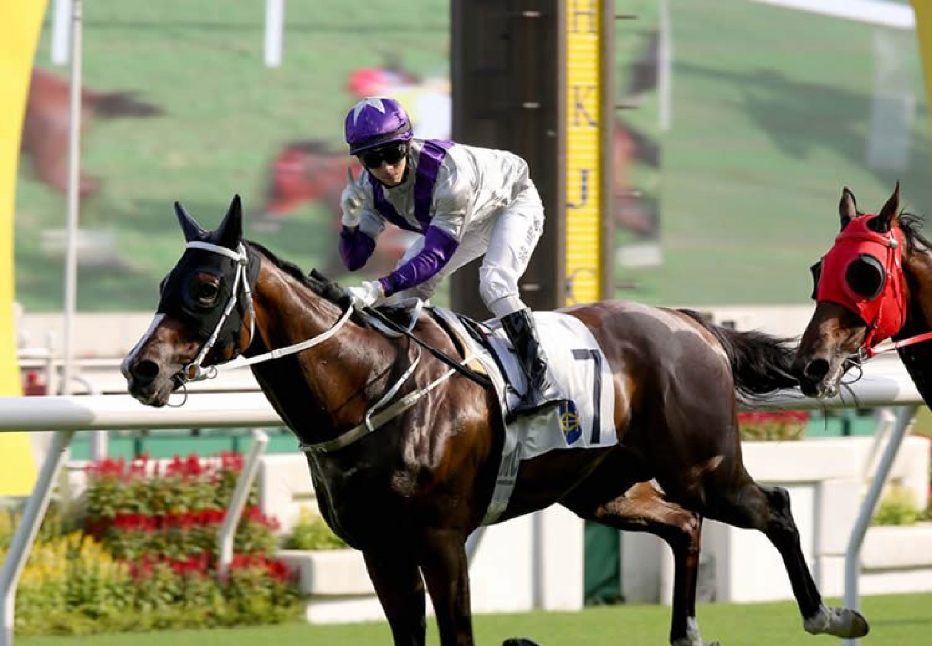 Buddies (So You Think) winning the Gr.3 Celebration Cup at Sha Tin