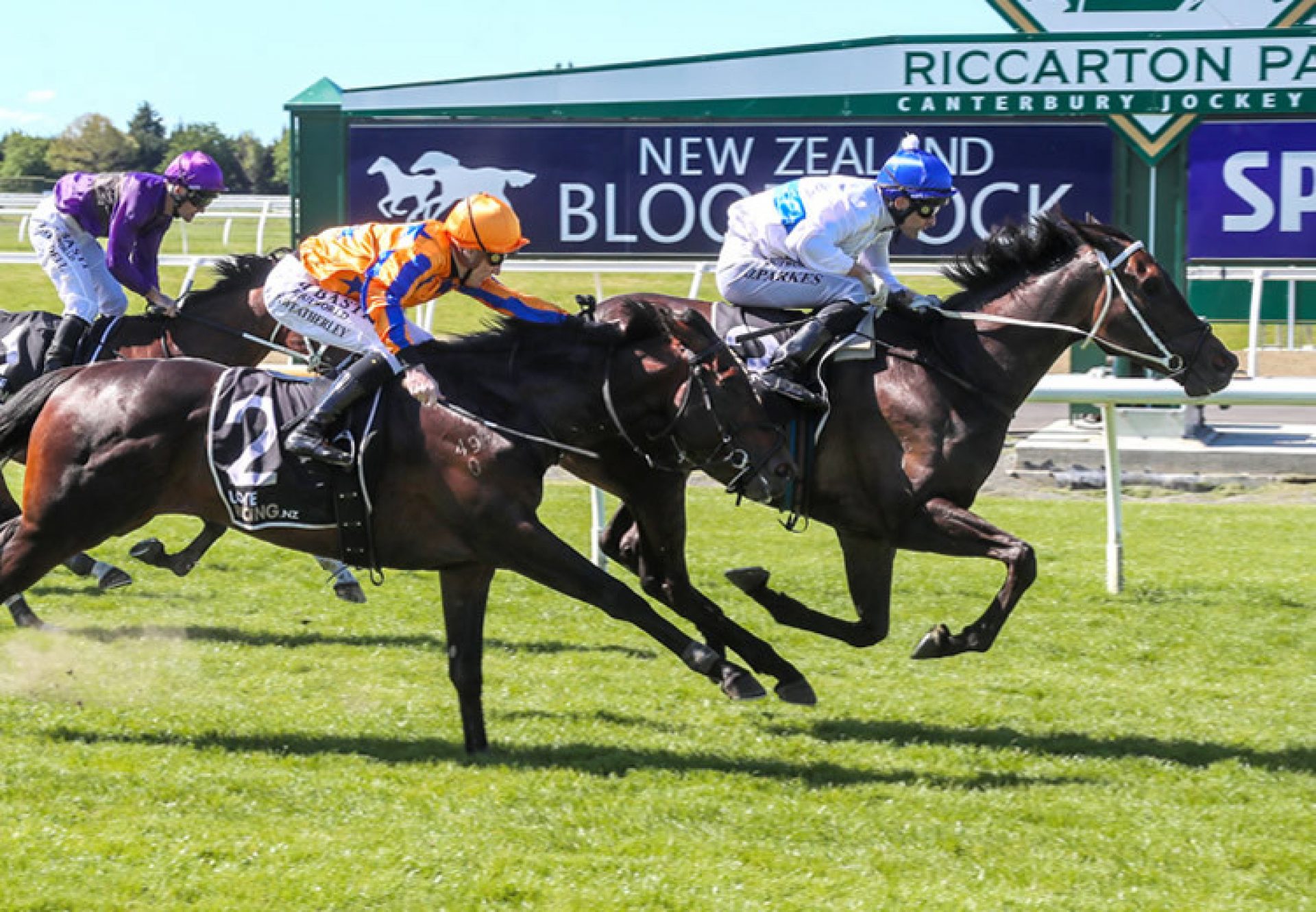 Burn To Shine (So You Think) wins Gr.3 War Decree Stakes at Riccarton