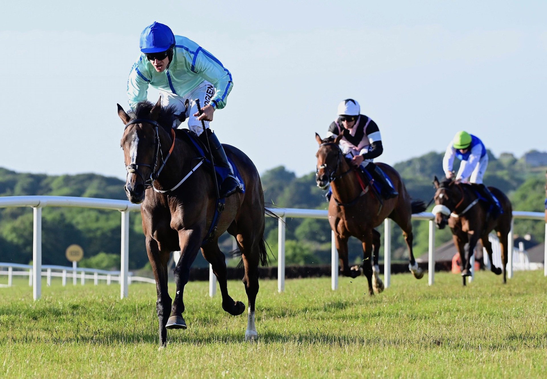 Bynx (Vadamos) Wins The Mares Maiden Hurdle At Tramore