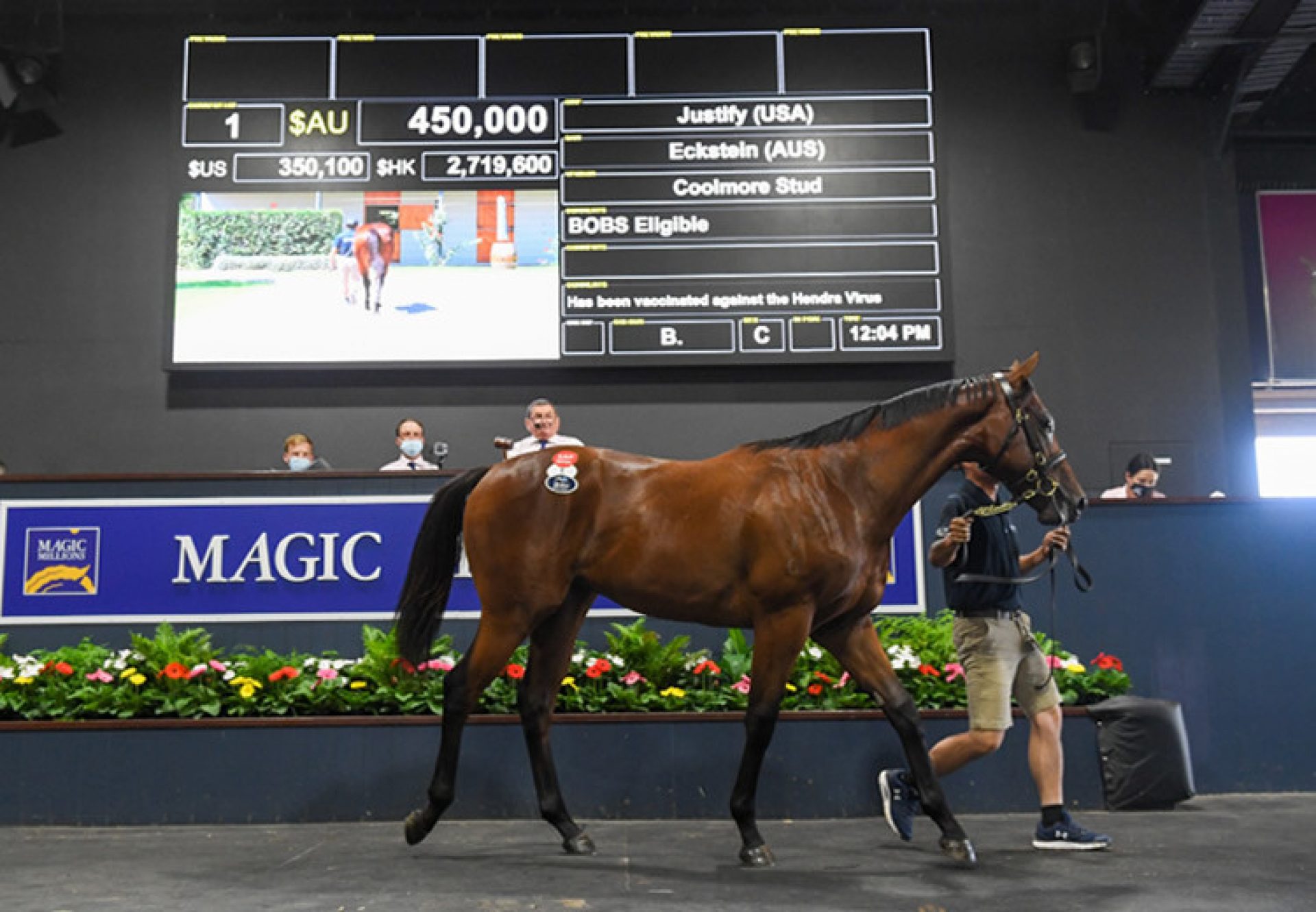 Justify X Eckstein yearling filly selling for $450,000 at the Magic Millions