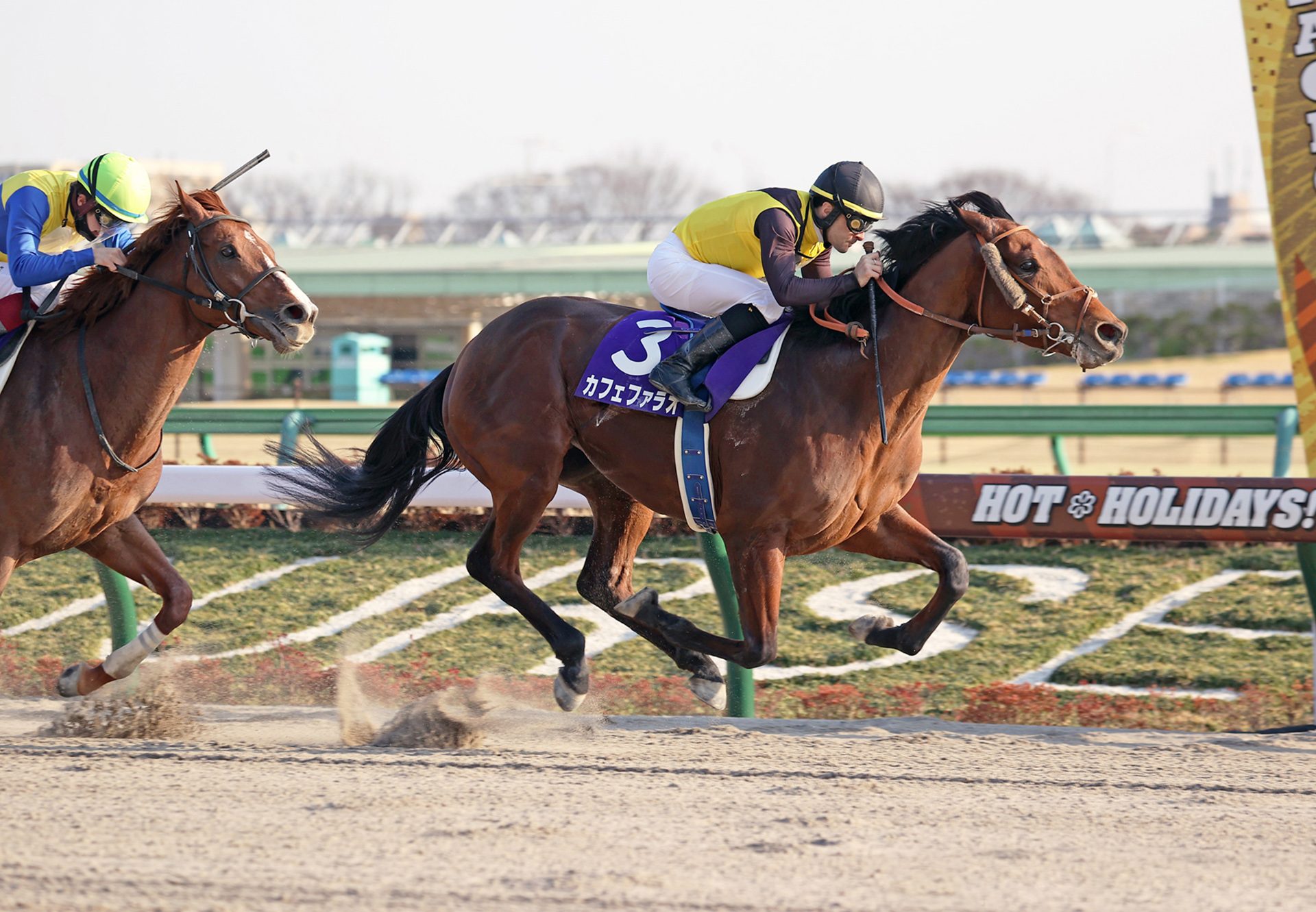 Cafe Pharoah (American Pharoah) wins the Gr.1 February Stakes in Japan