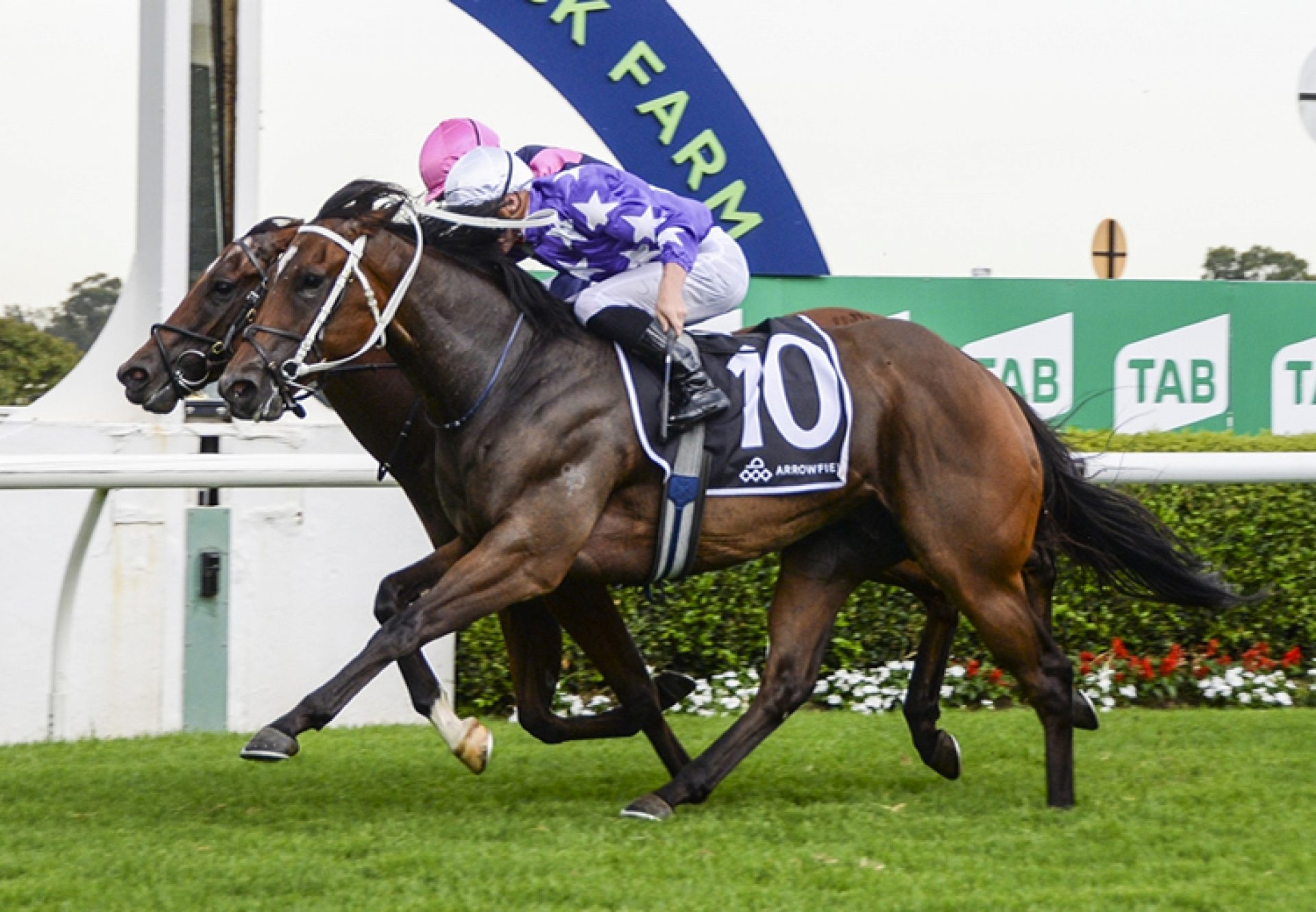 Cadetship (Merchant Navy) winning at Warwick Farm