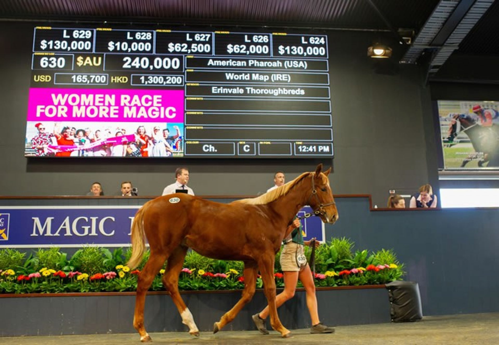 American Pharoah ex World Map colt selling for $255,000 at the MM National Weanling Sale