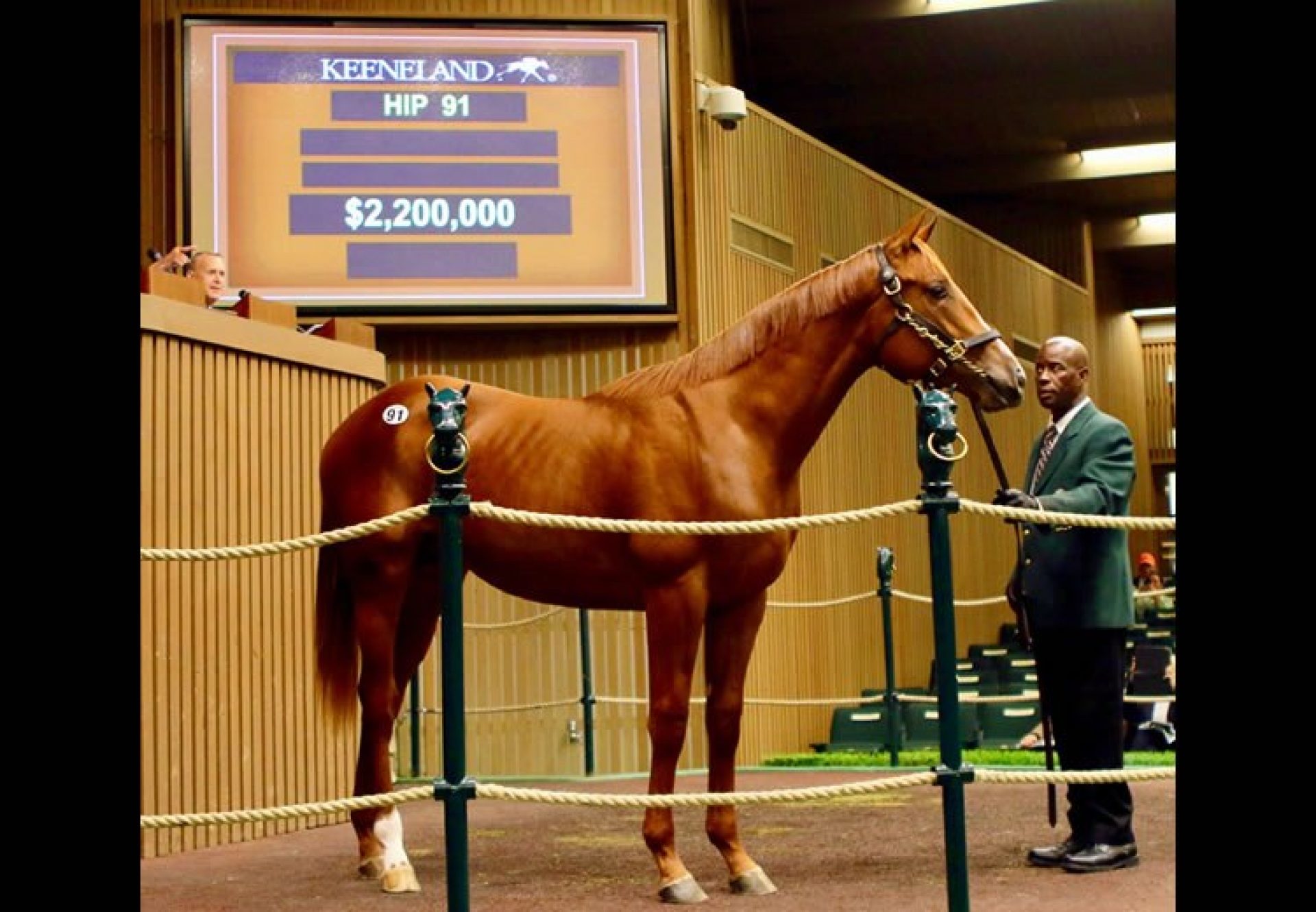 American Pharoah ex Kindle yearling colt selling for $2.2 million at Keeneland September Book 1