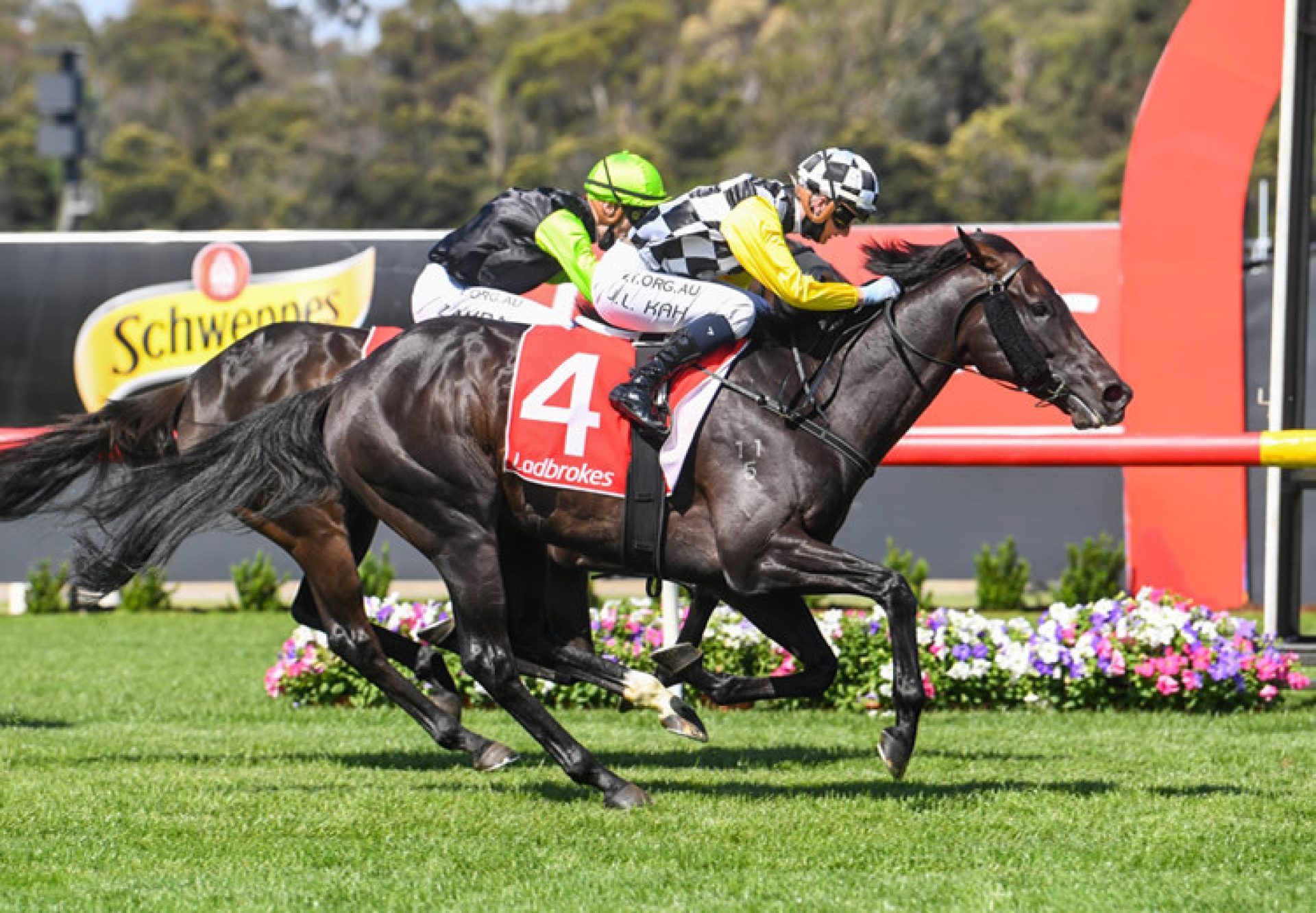 Carif (So You Think) wins the Listed Sandown Cup