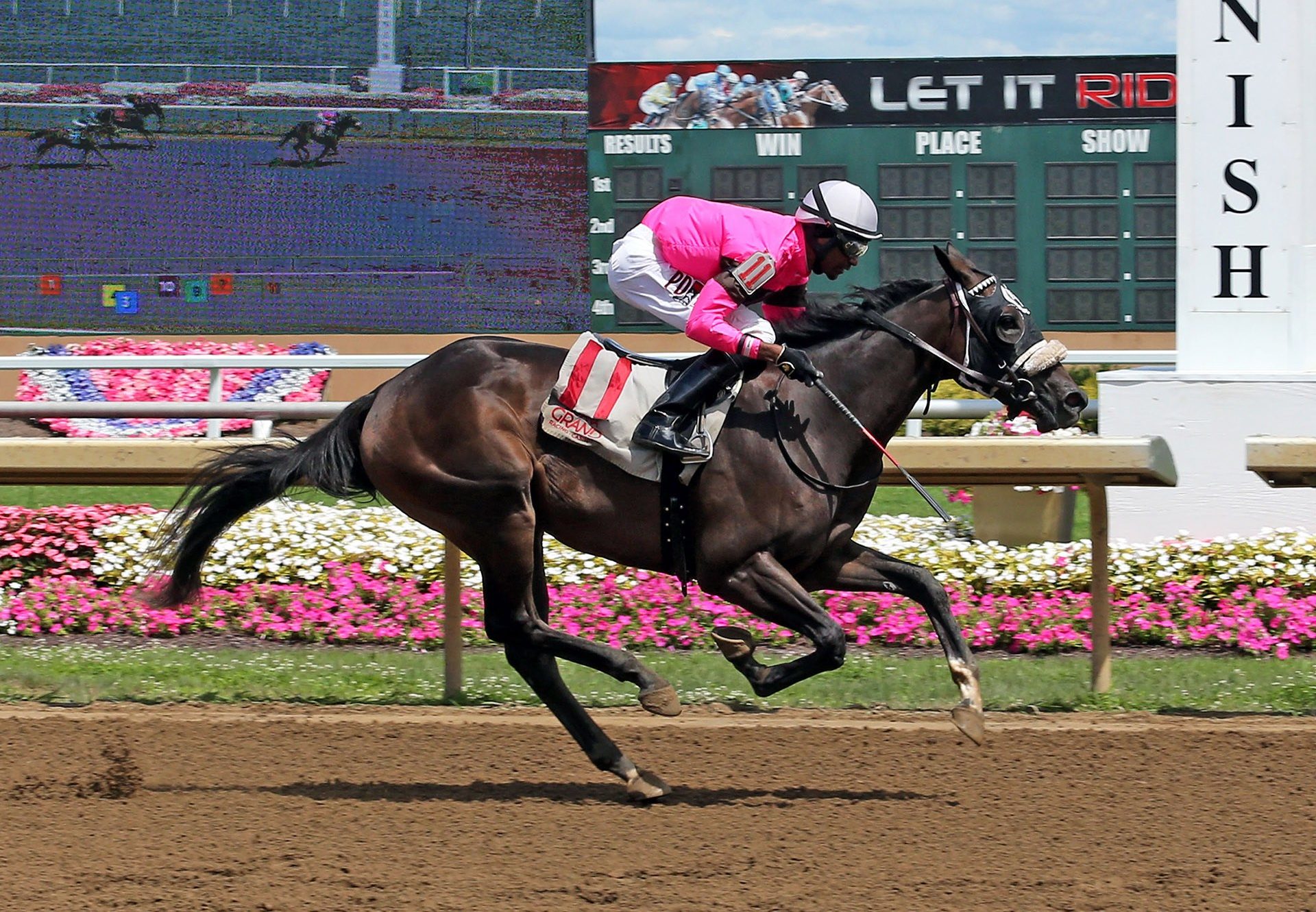 Choctaw Bingo (Air Force Blue) winning a MSW at Indiana Grand